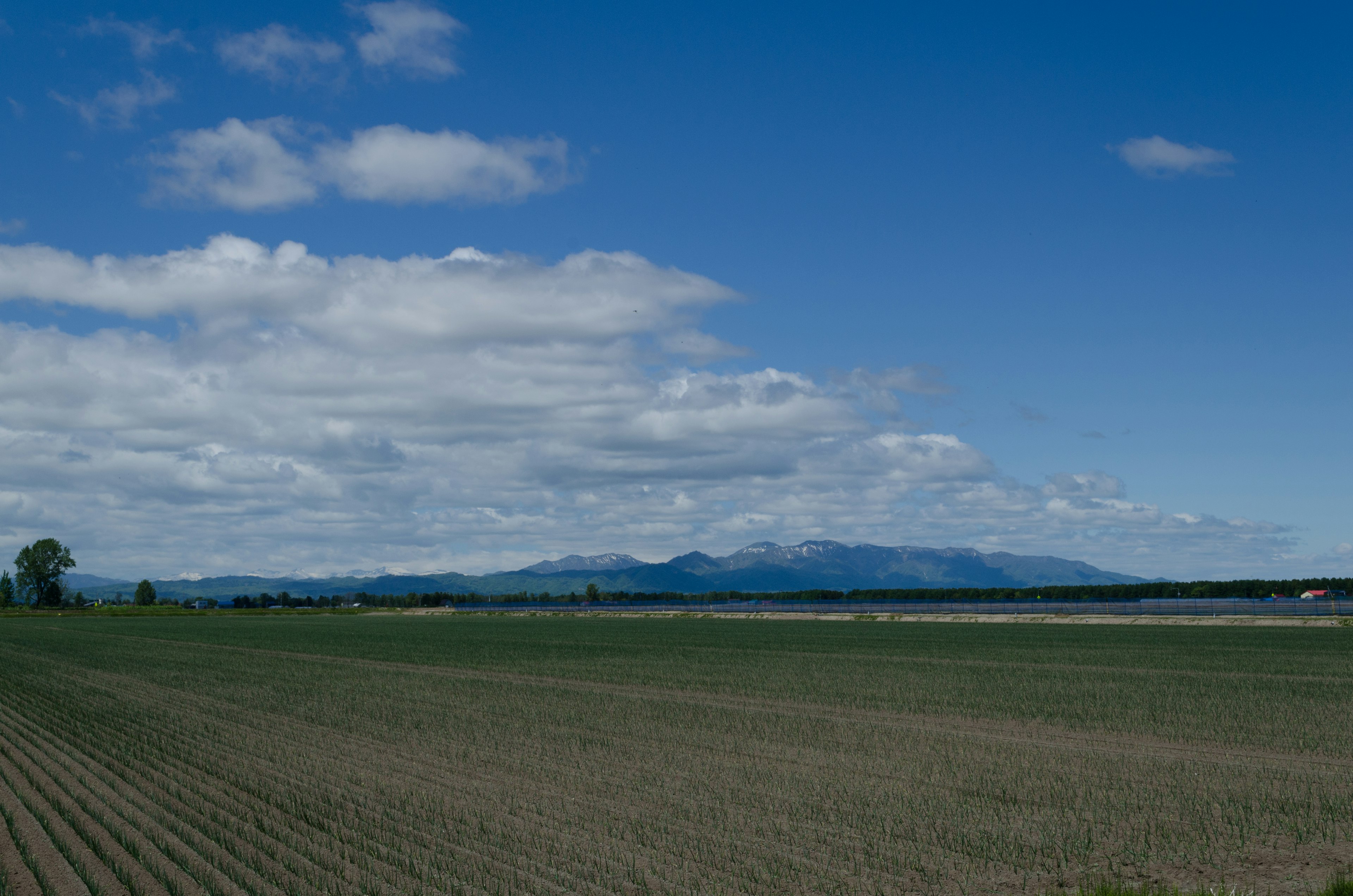 Amplio paisaje agrícola bajo un cielo azul con nubes y montañas distantes