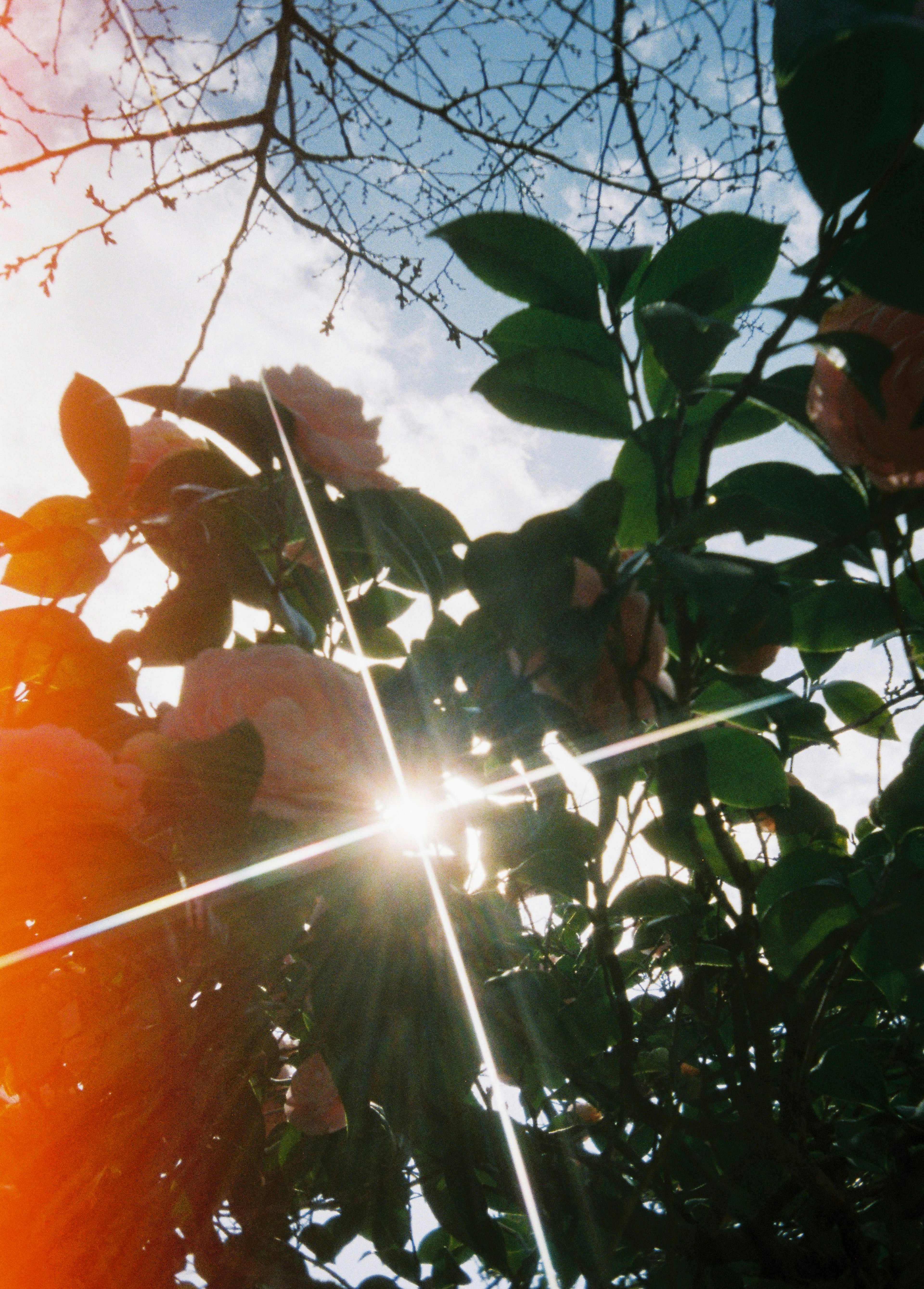 photo-CKBx0s9ShdytgqohmV56-image