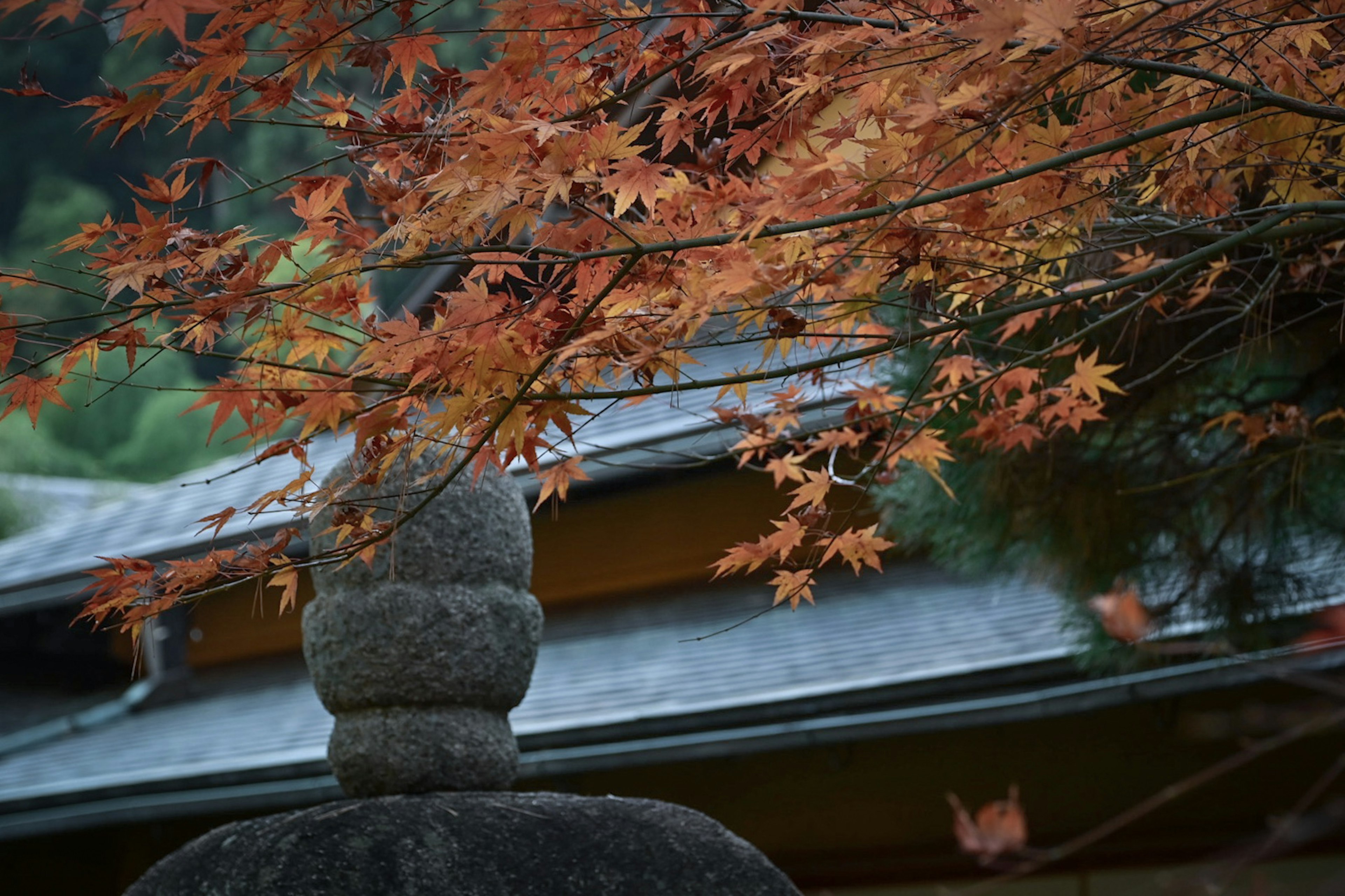 Feuillage d'automne avec une pagode en pierre et un toit traditionnel