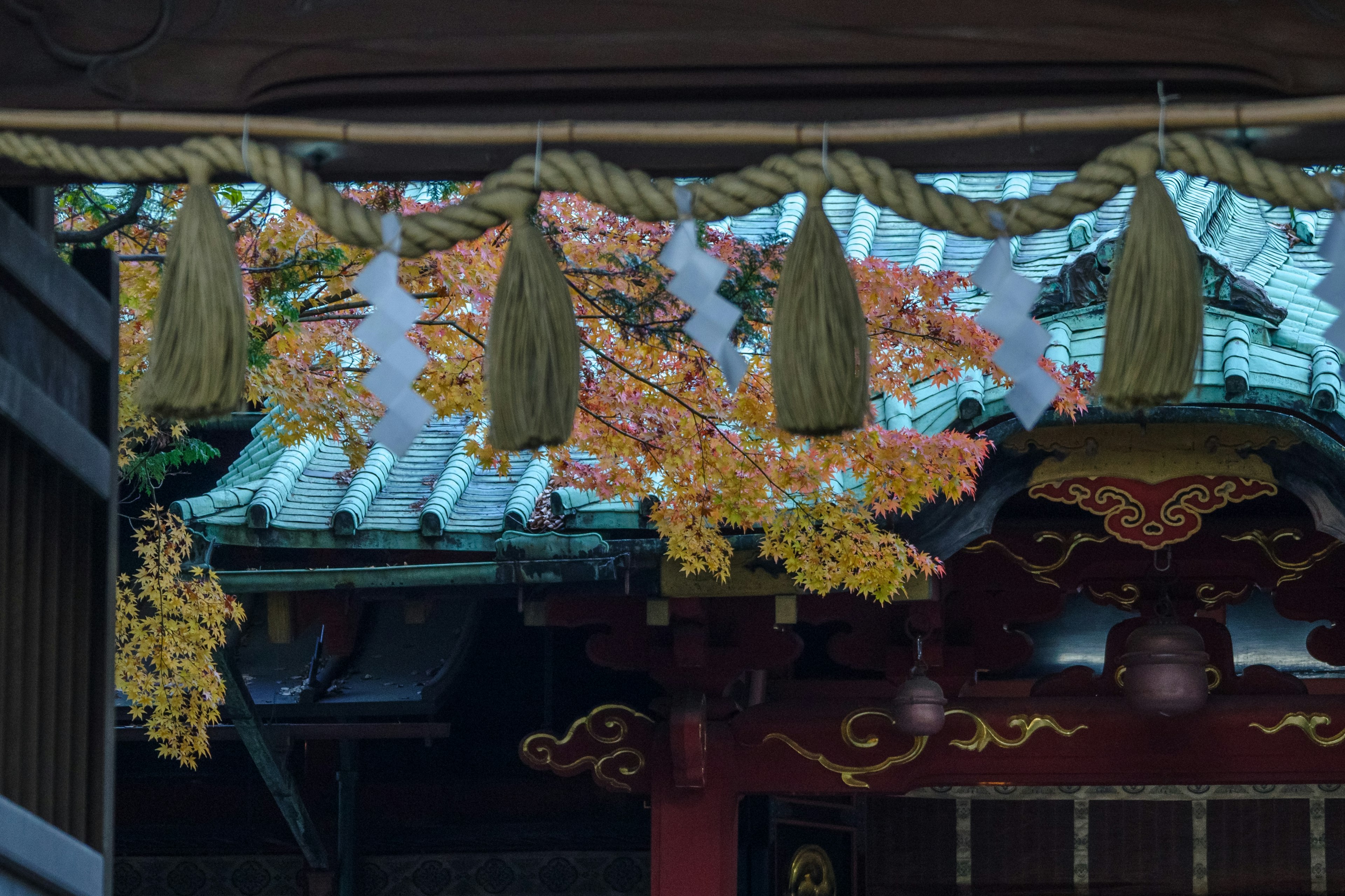 Japanese shrine view with colorful autumn leaves on the roof