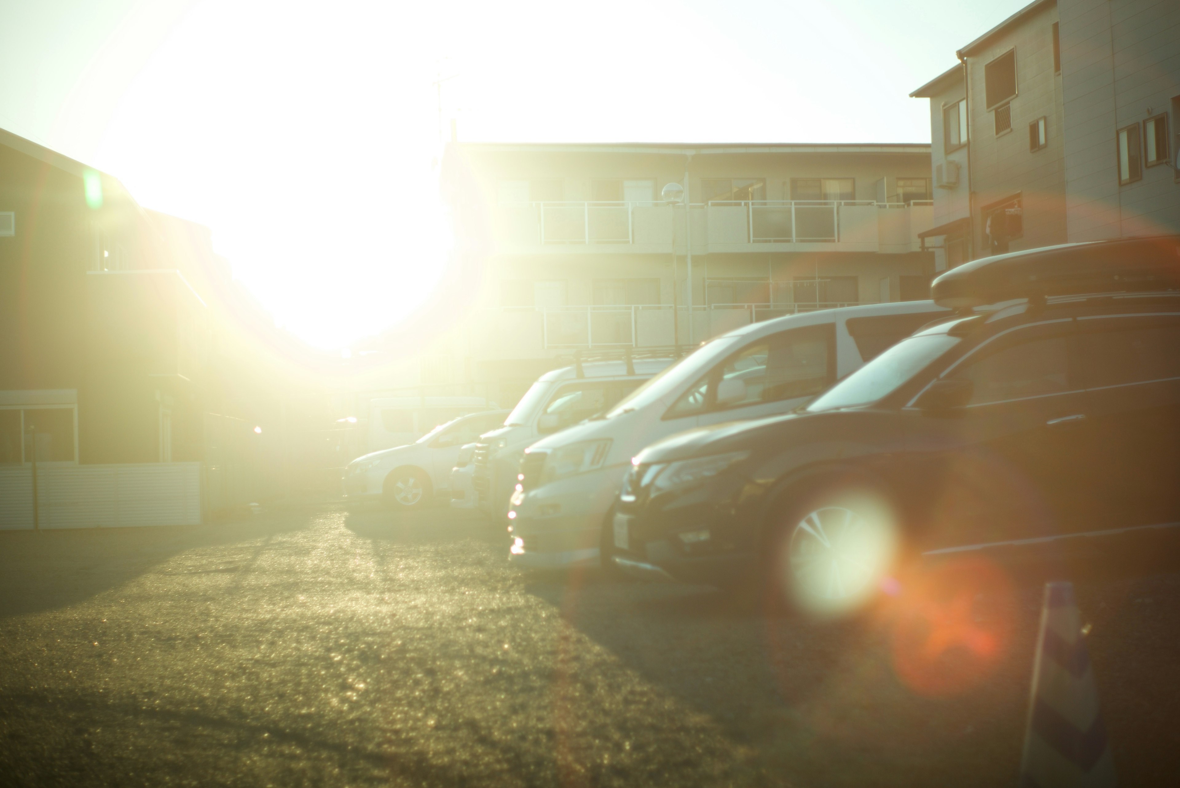 Cars lined up in a parking lot with sunlight shining