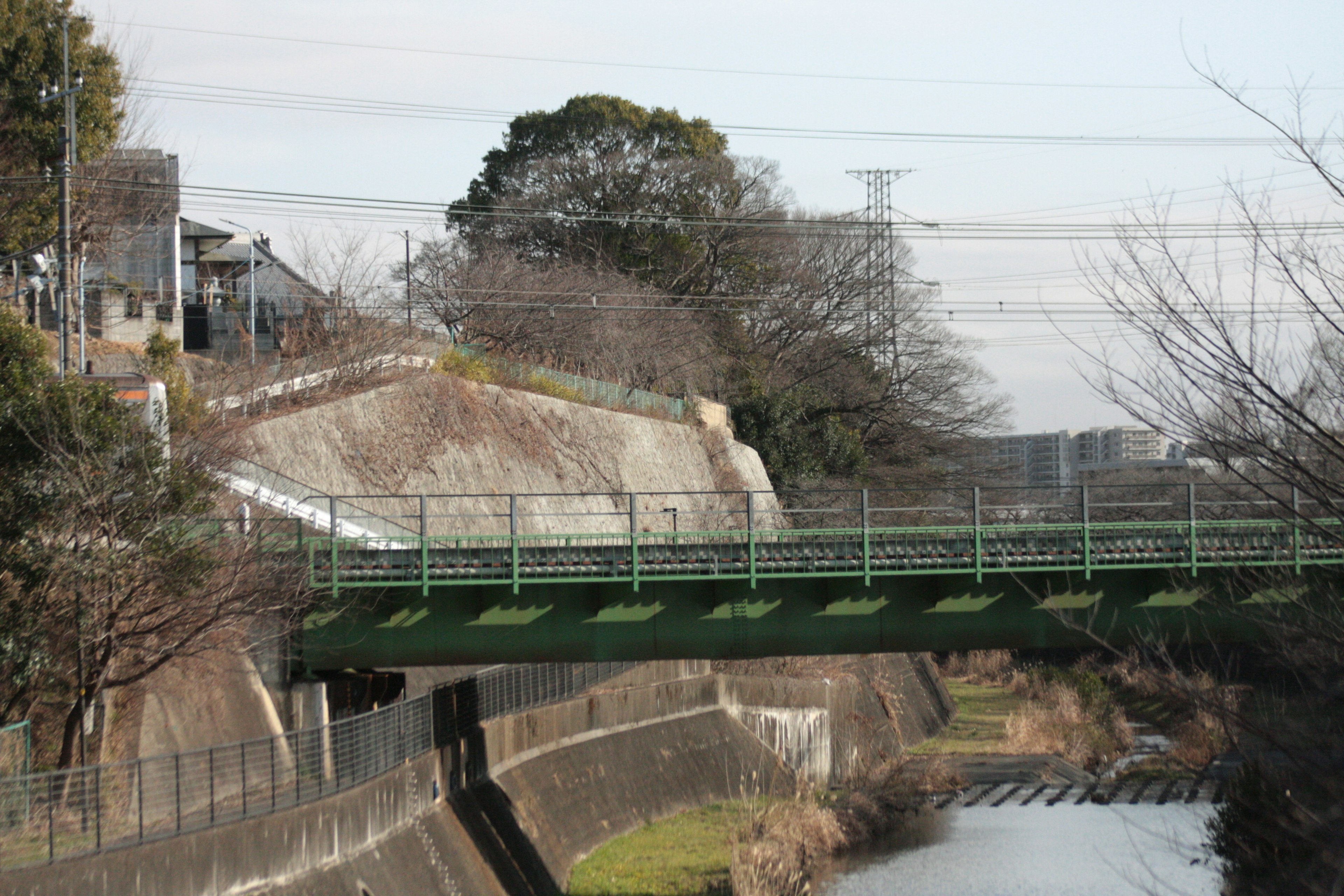 Grüne Brücke über einen Fluss mit umliegenden Gebäuden