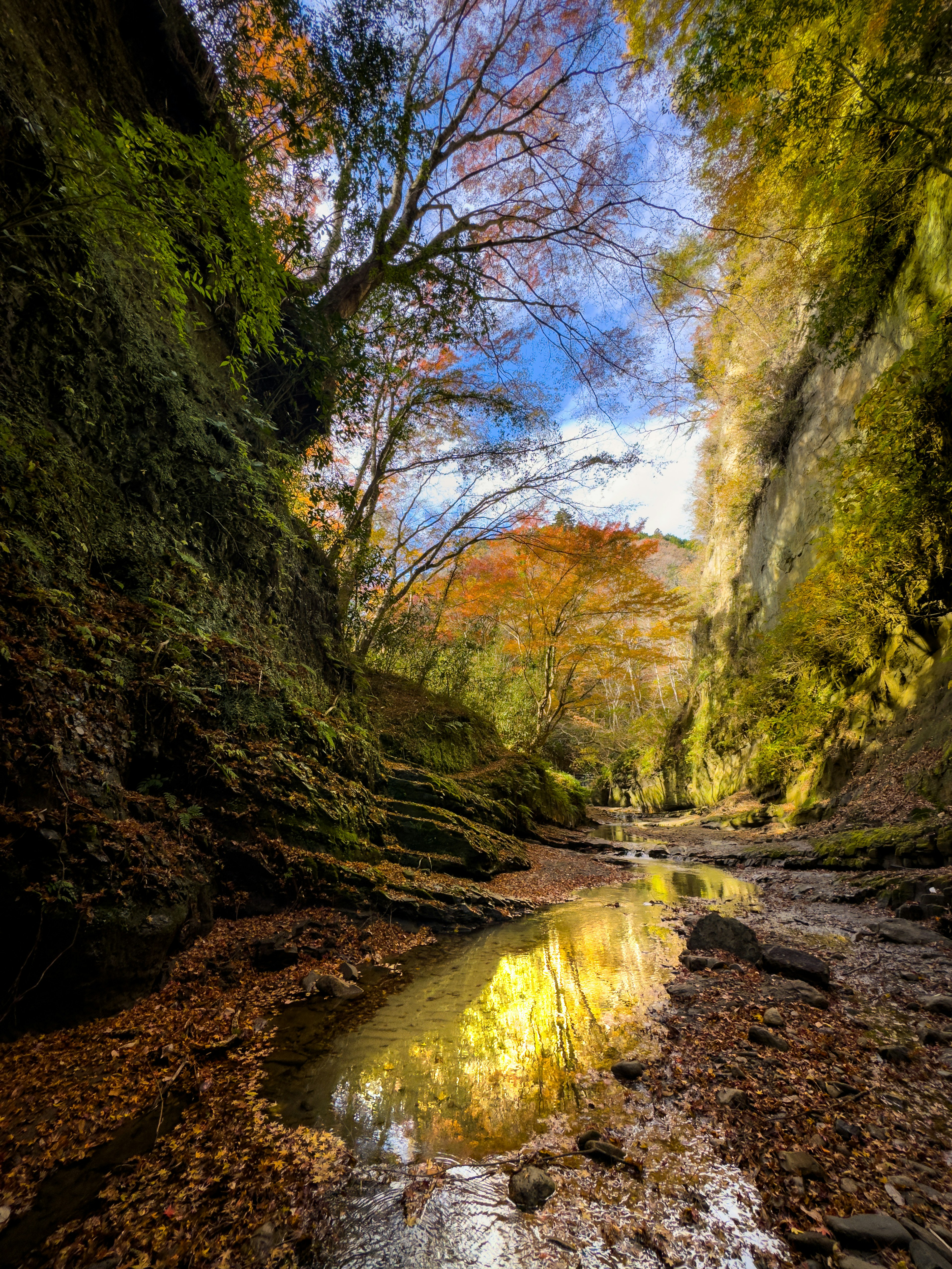 Vue pittoresque d'un canyon avec des arbres colorés et des reflets d'automne dans l'eau