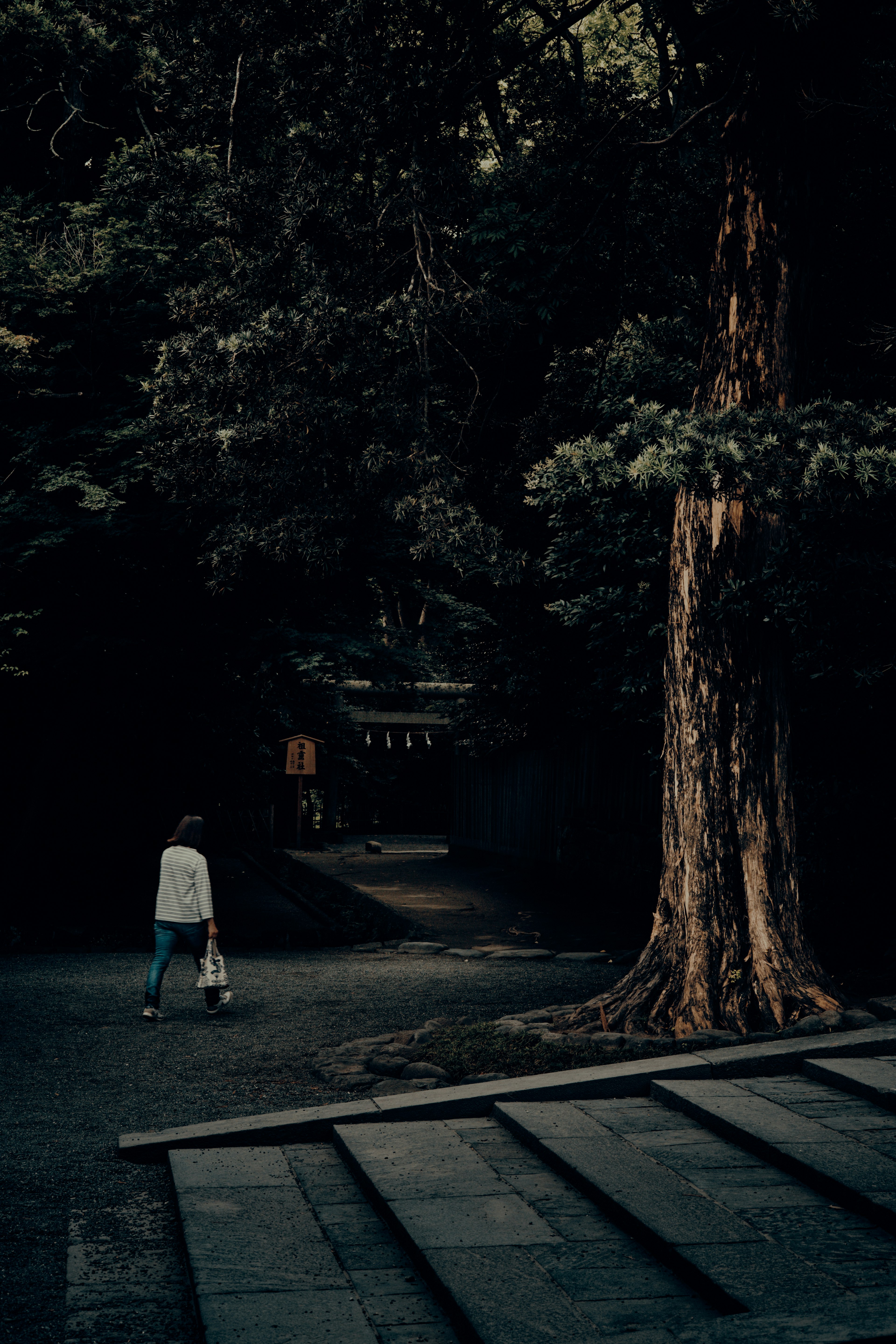 暗い道を歩く人物と大きな木の風景