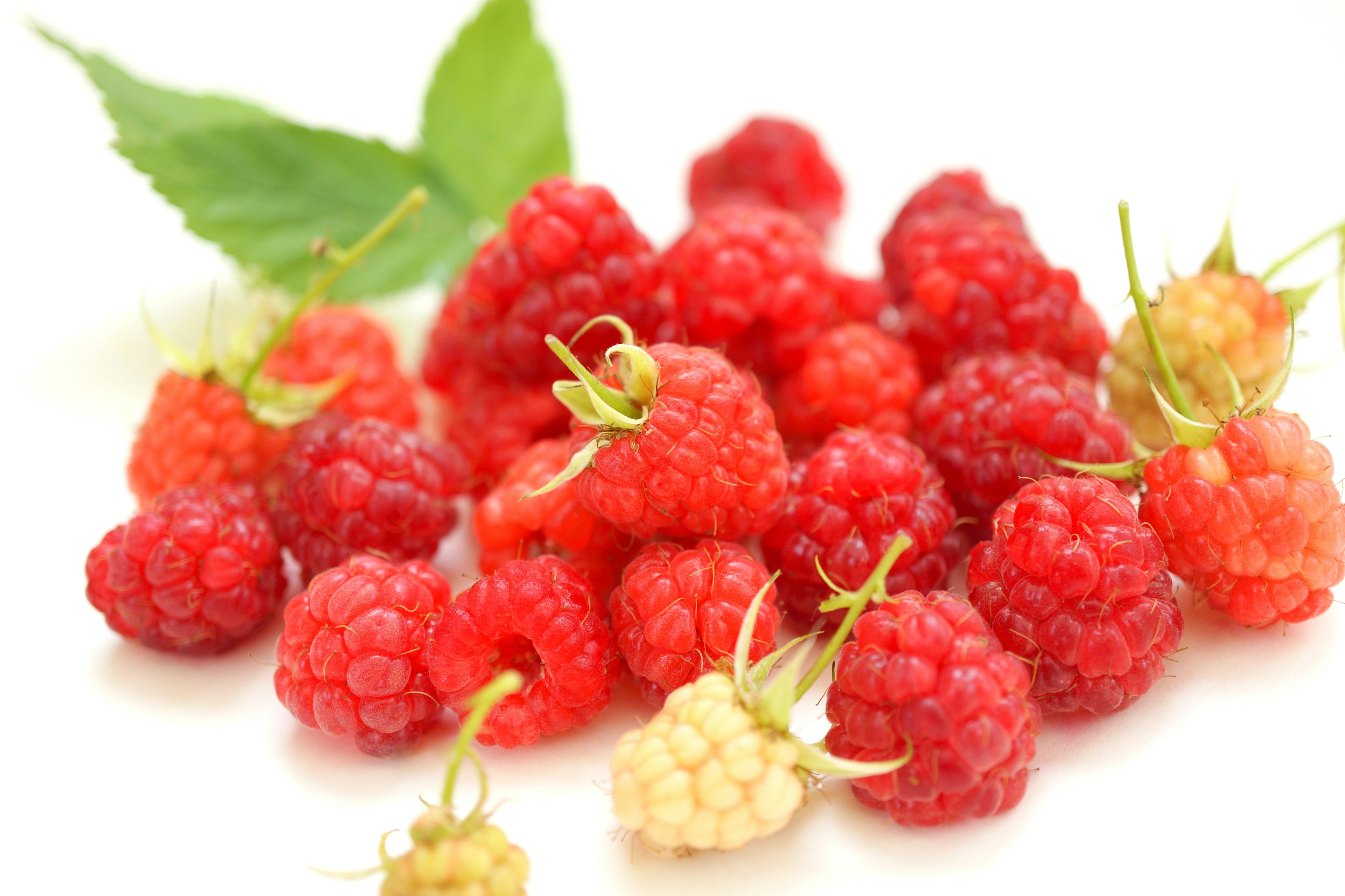 Vibrant red raspberries arranged on a white background