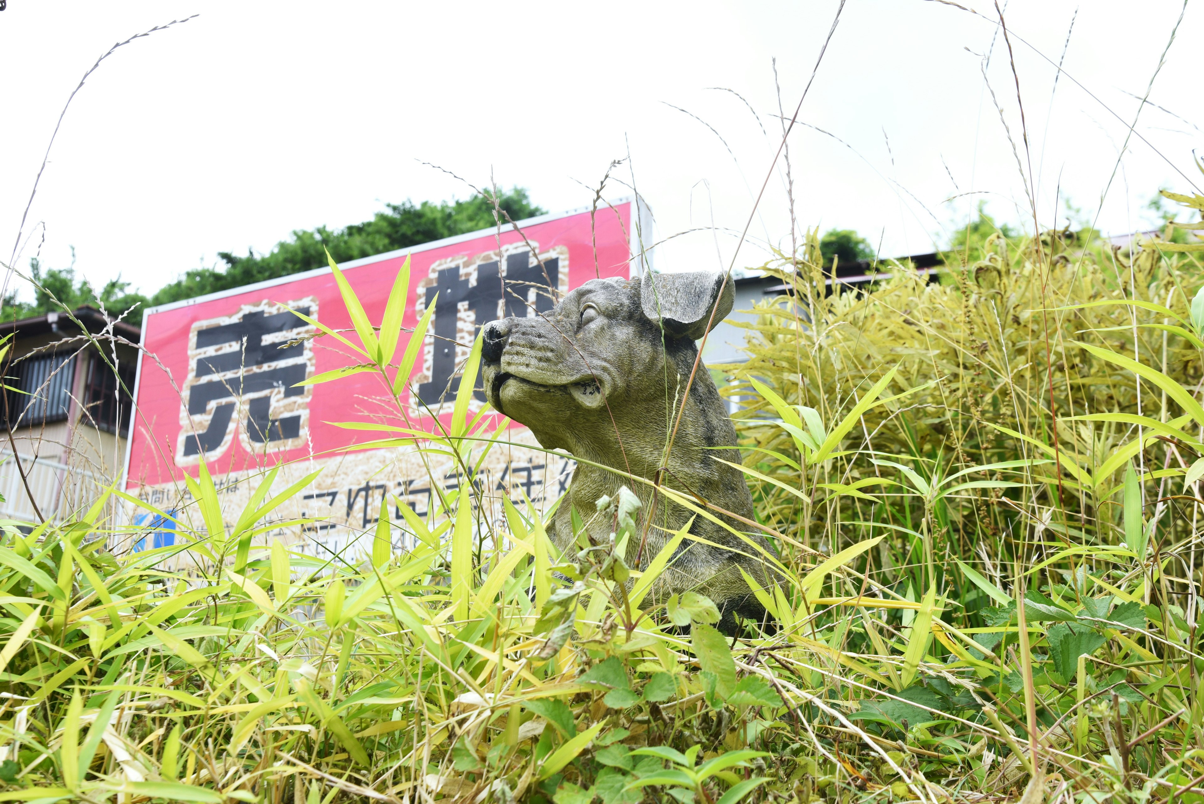 Hundeskulptur umgeben von Gras mit einem Schild im Hintergrund