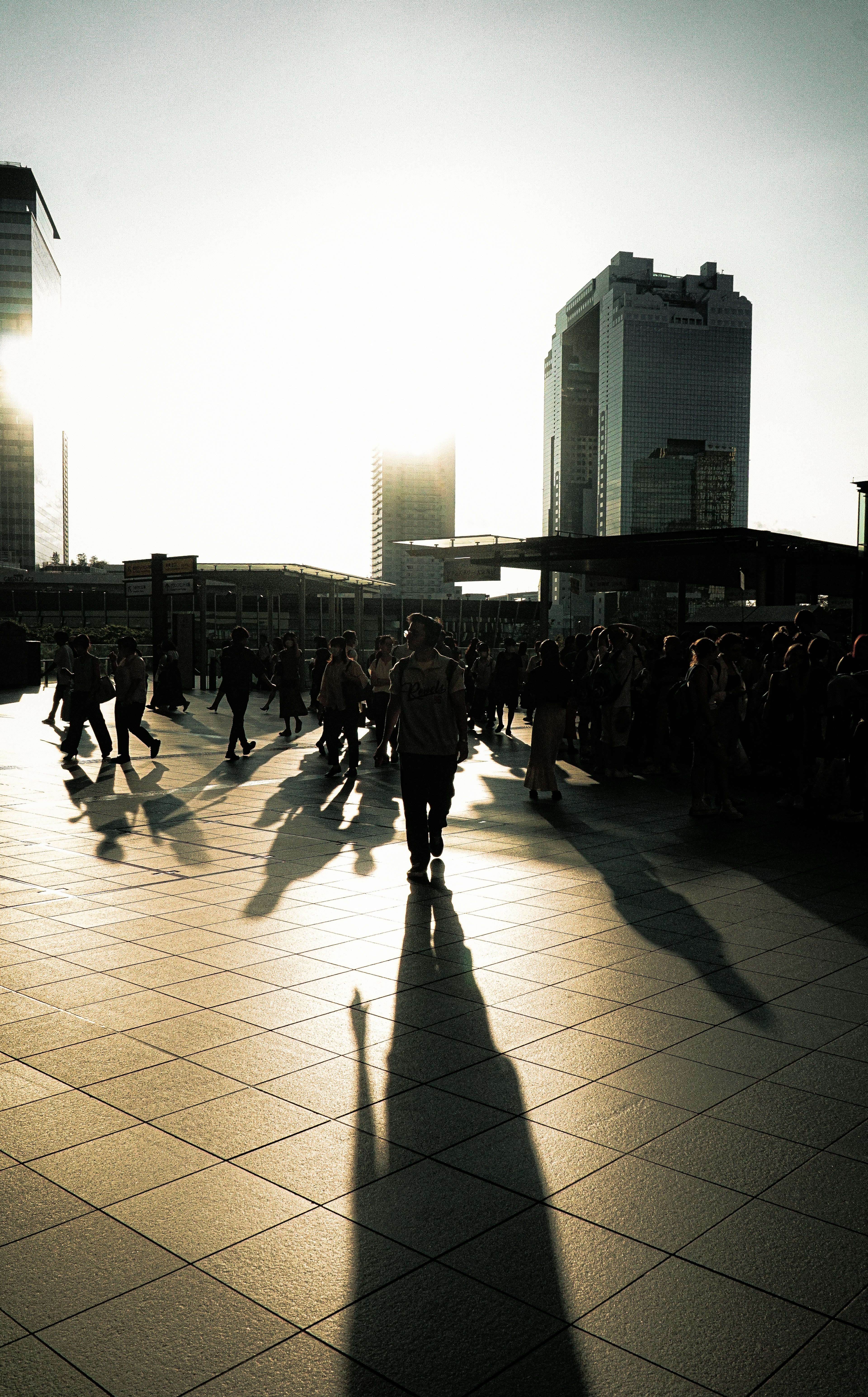 Silhouettes of people walking under the sunset with long shadows