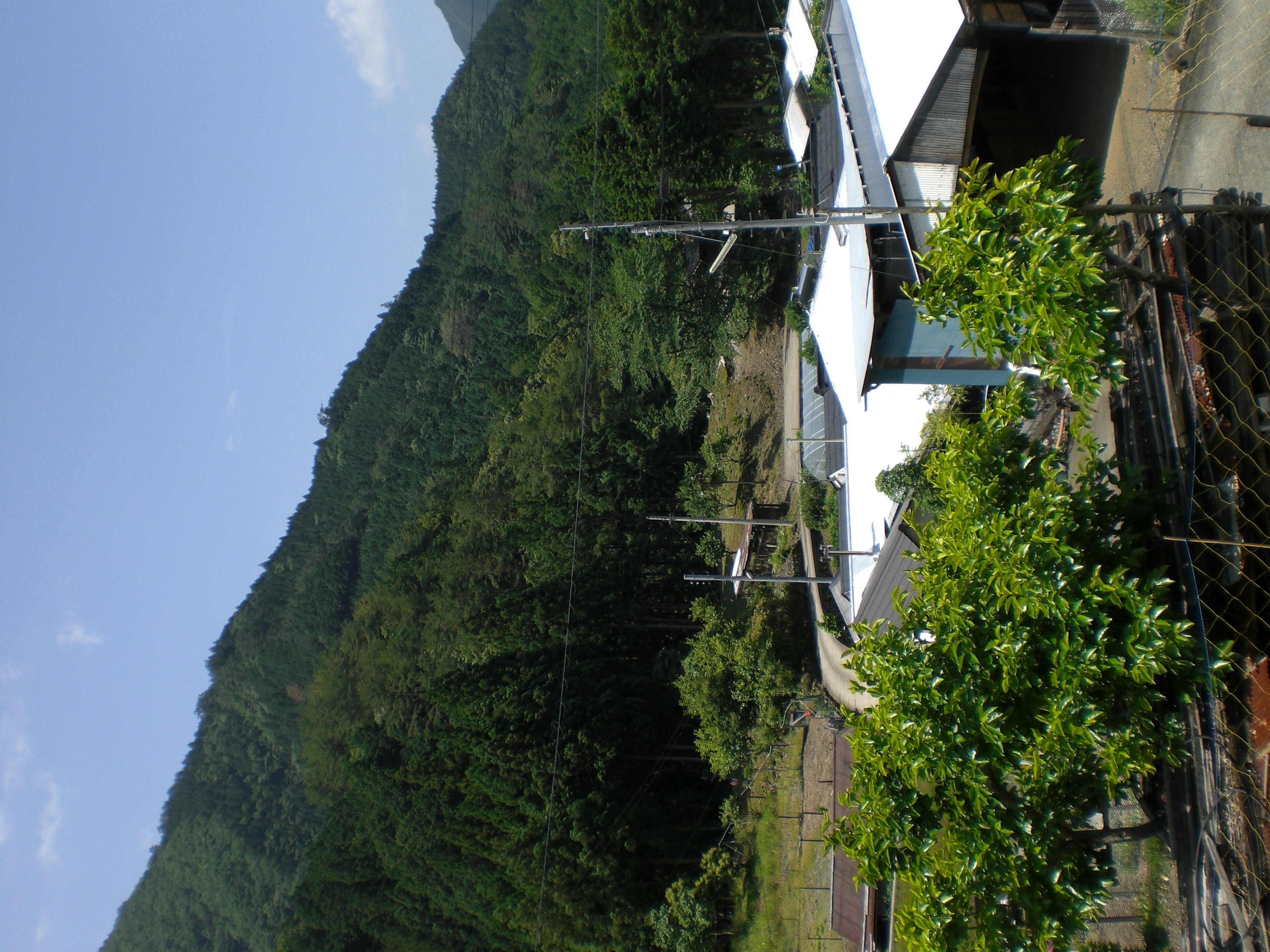 緑豊かな山々と白い屋根の家がある風景