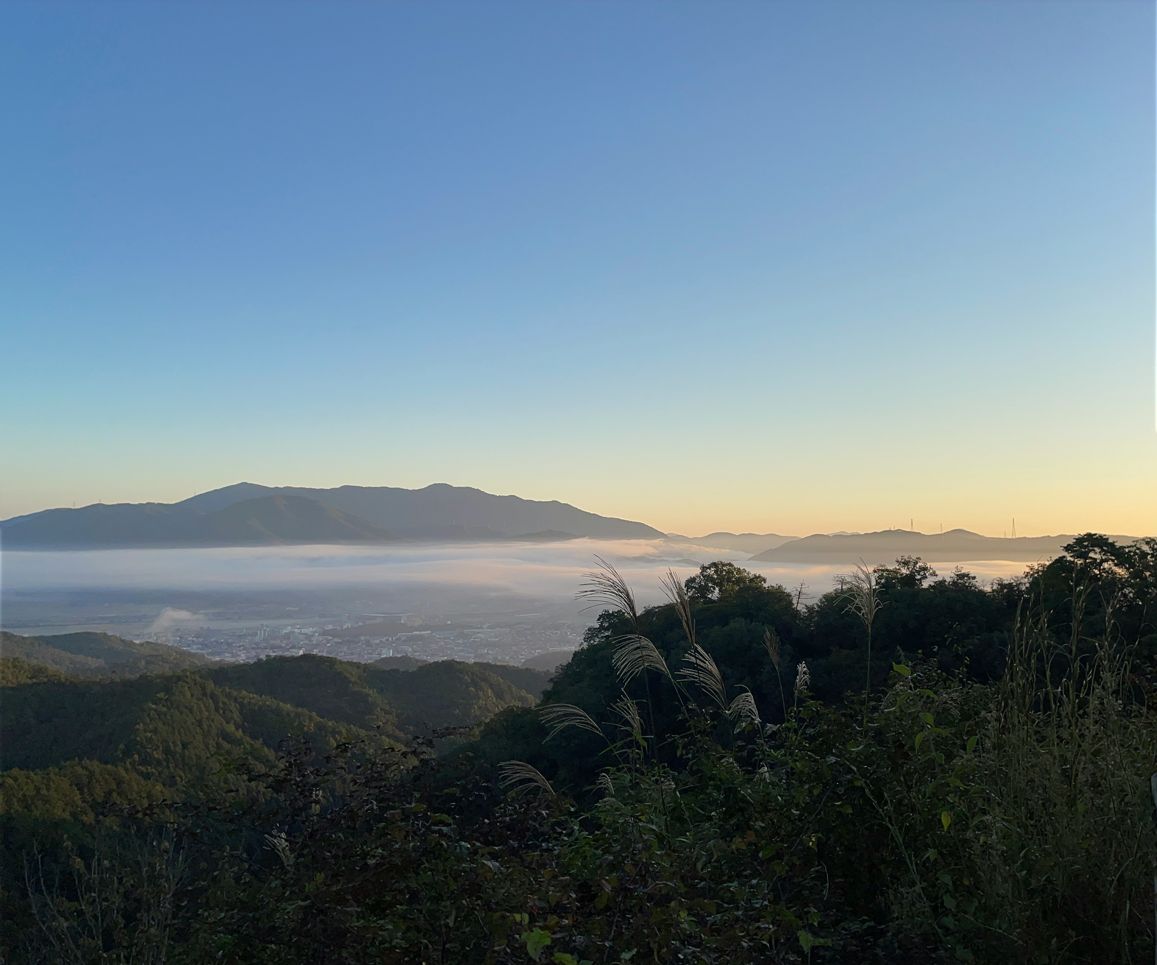 Beau paysage de montagne avec vallée embrumée