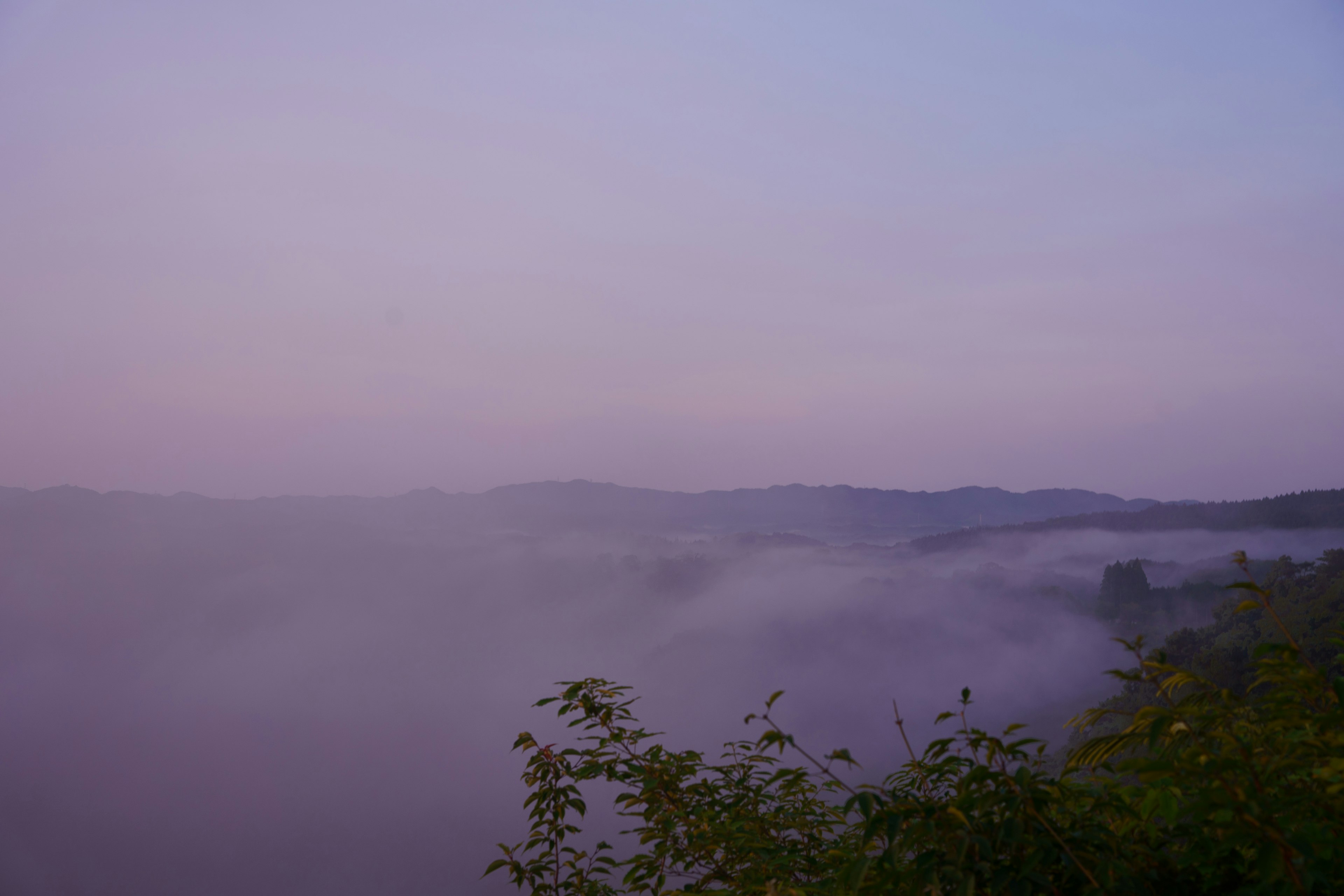 Misty landscape with soft purple hues and gentle hills