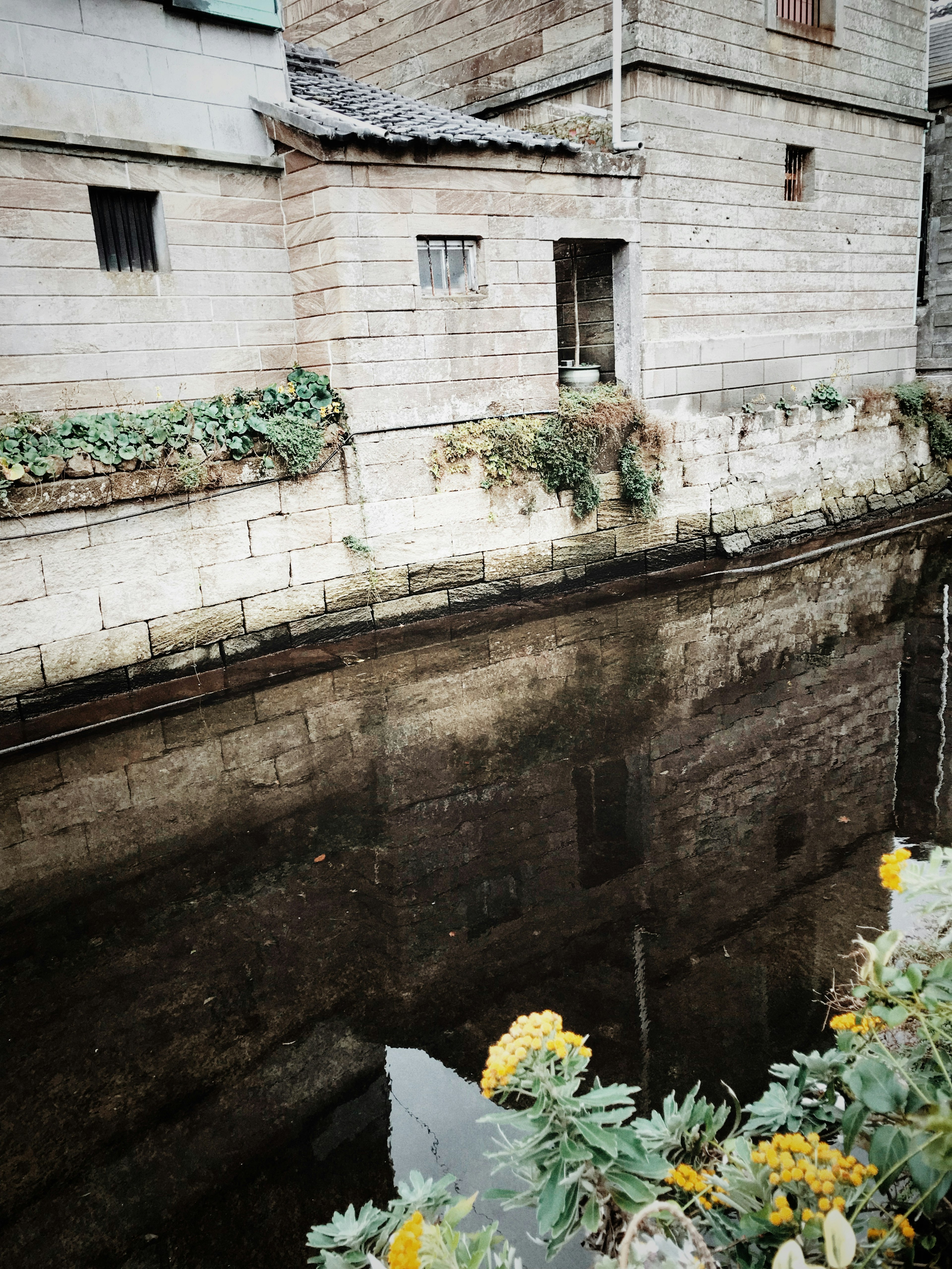 Bâtiment en pierre reflété dans l'eau calme avec des fleurs au premier plan