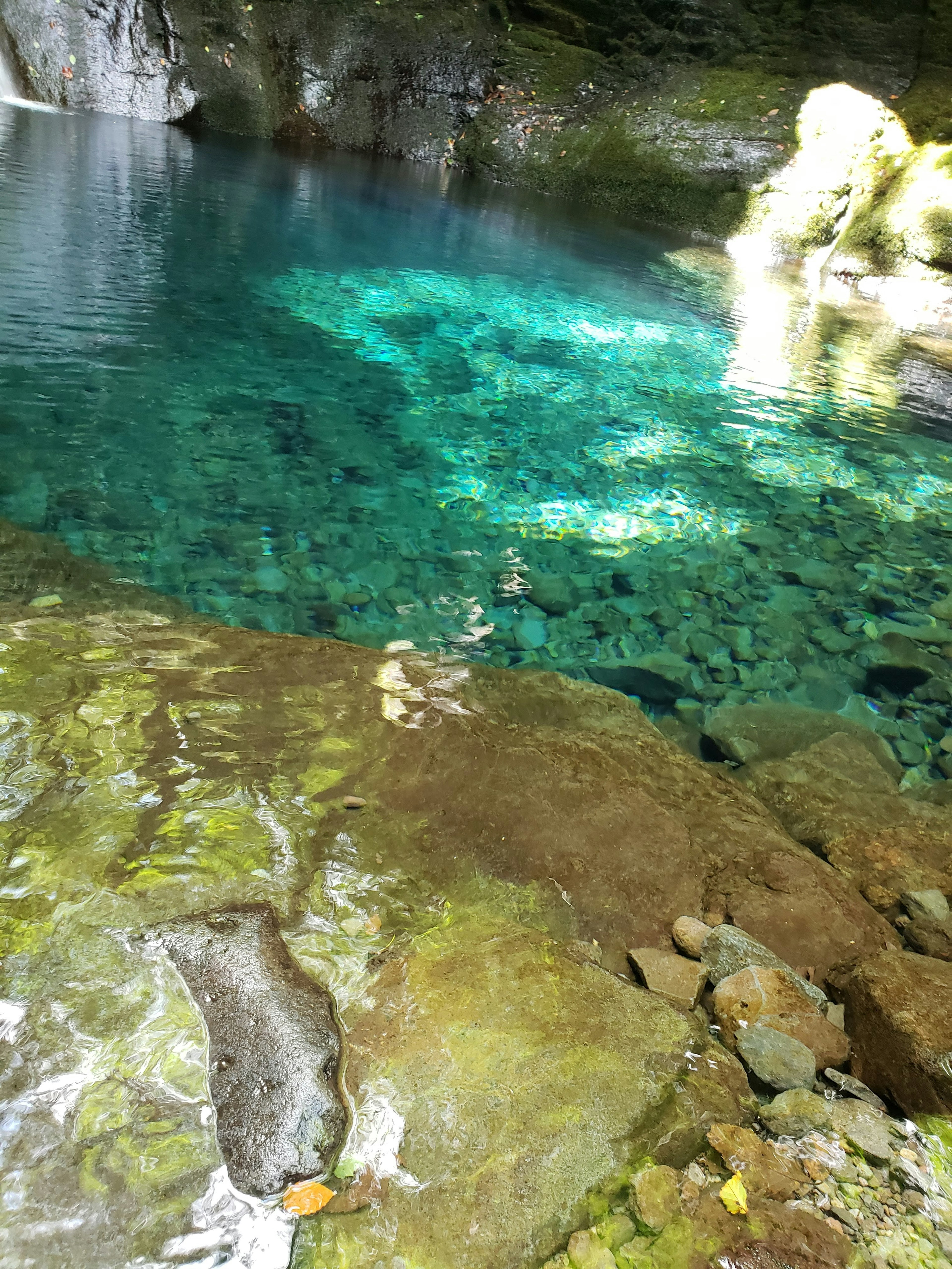 Agua clara en un hermoso estanque con rocas verdes