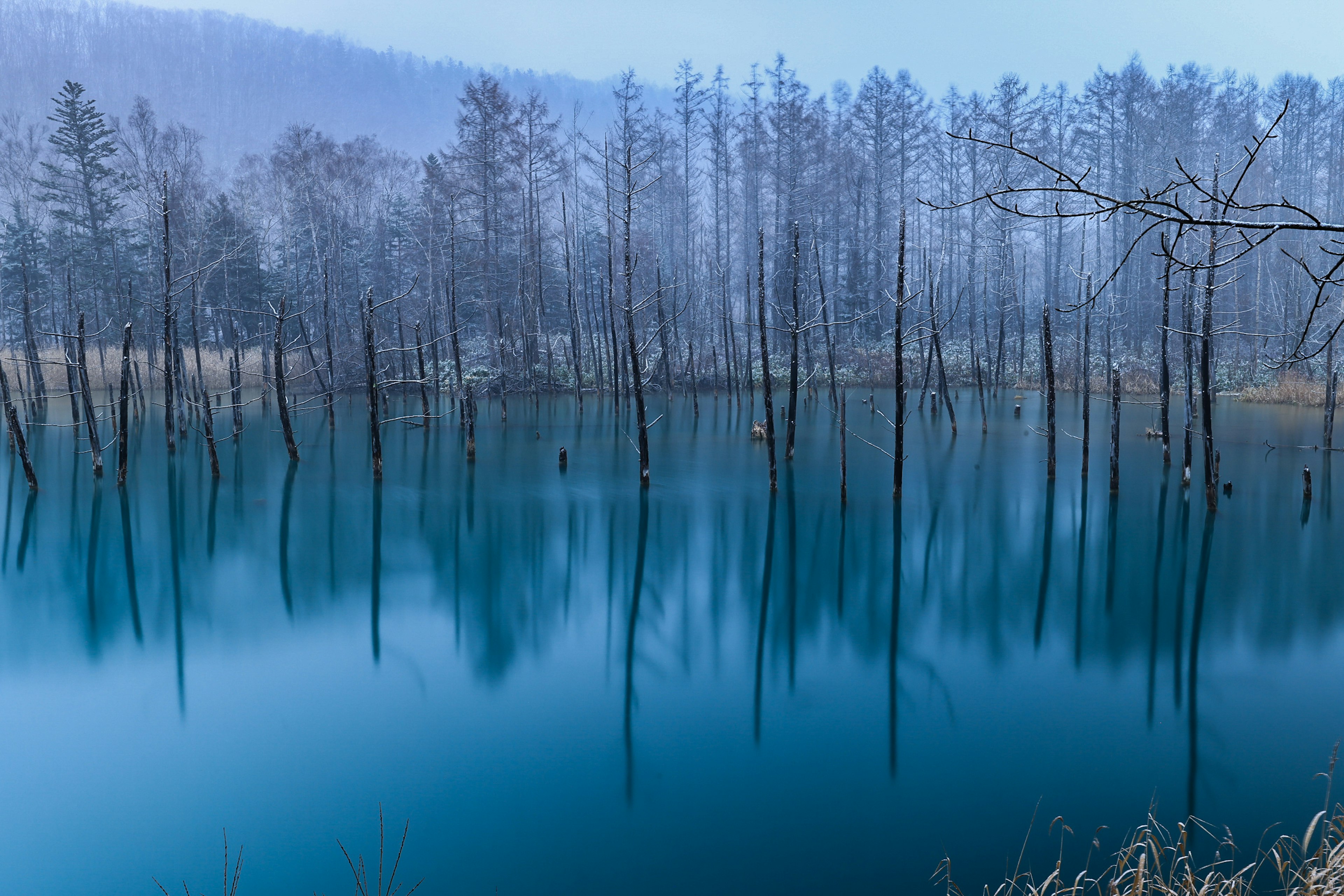 Paysage d'hiver avec des arbres élancés reflétés dans une surface d'eau bleue