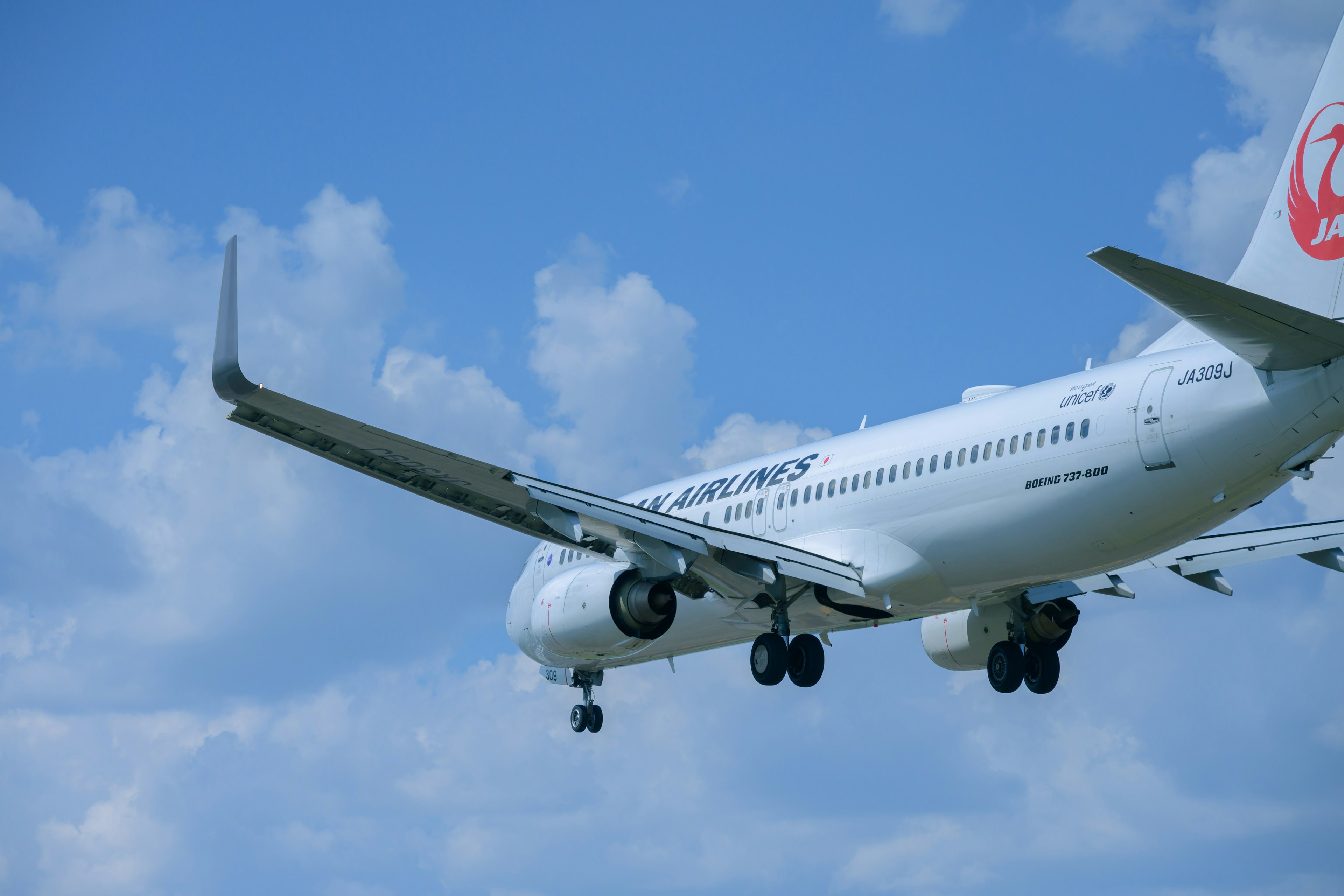 Flugzeug landet vor blauem Himmel