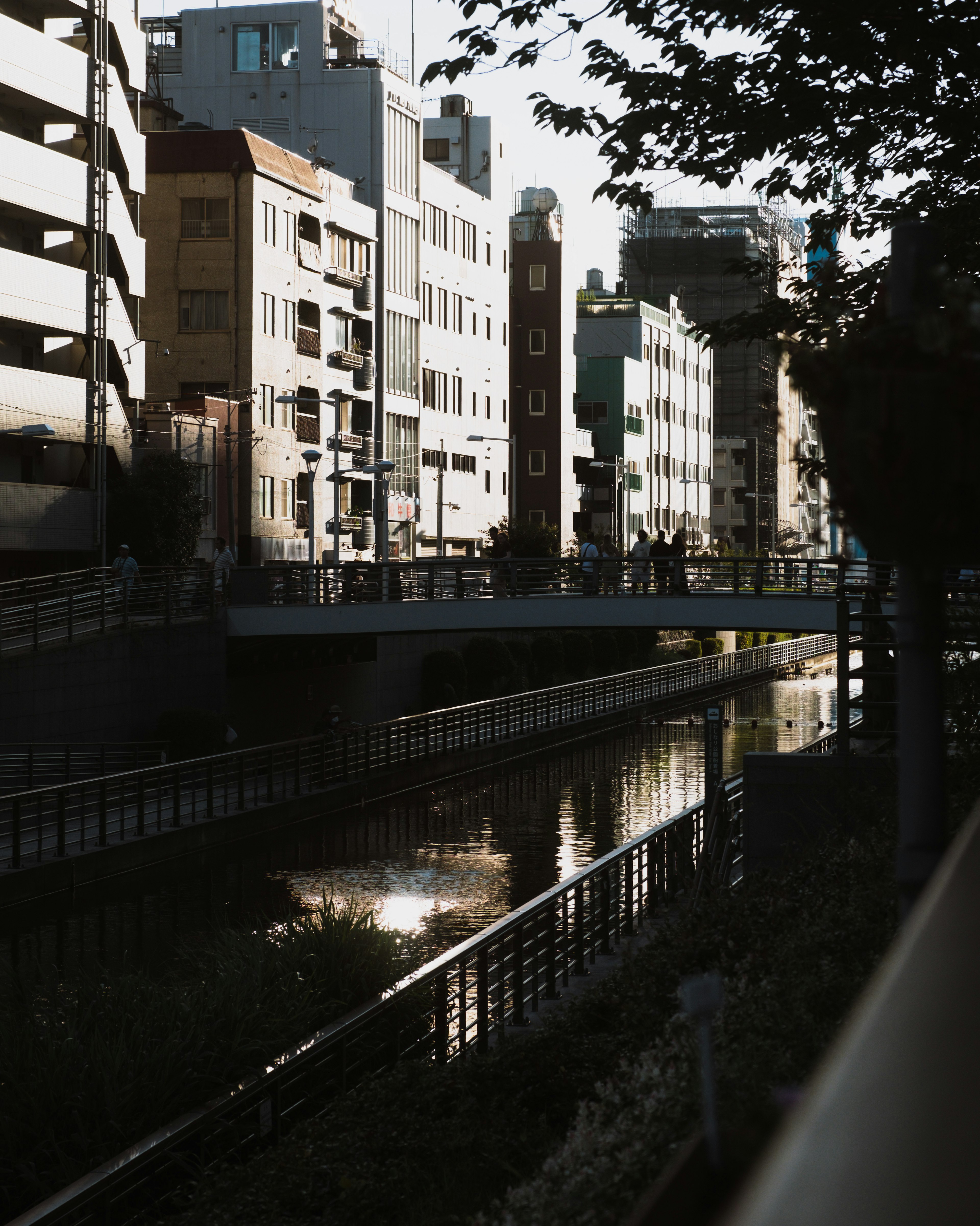 Quiet canal scene with surrounding buildings