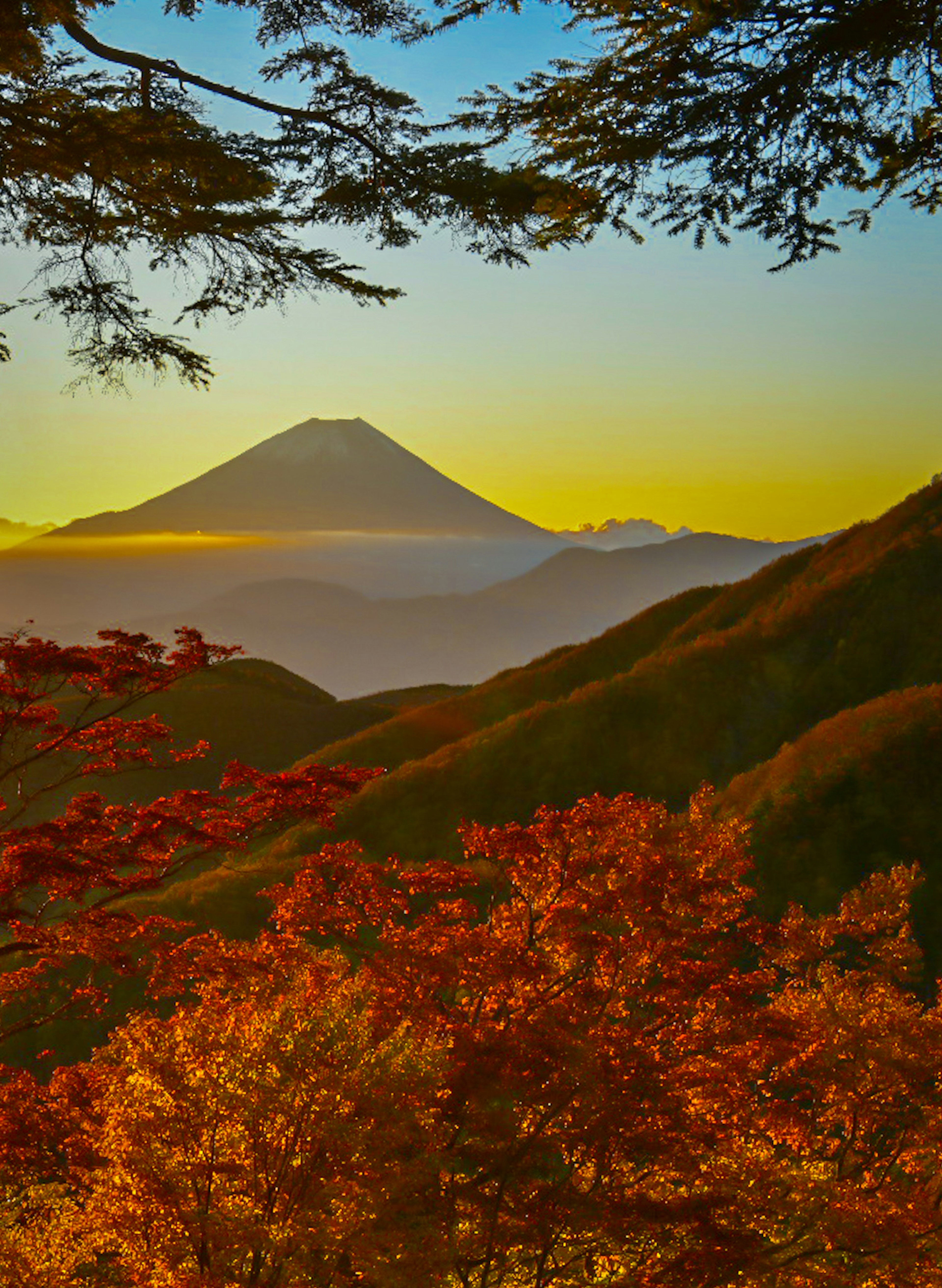 美しい秋の富士山の風景と色とりどりの紅葉