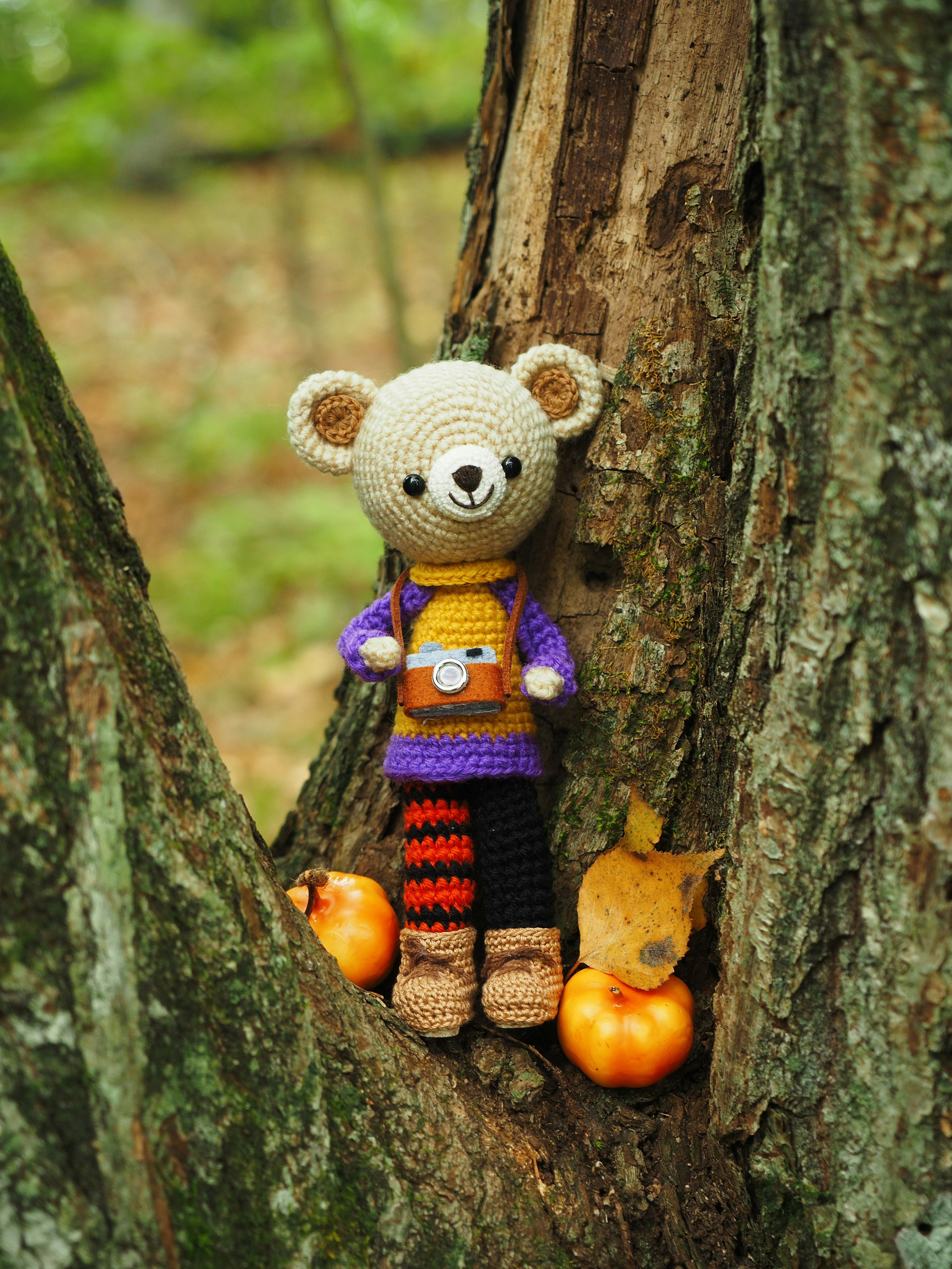 Boneka beruang rajut berdiri di celah pohon dengan buah musim gugur