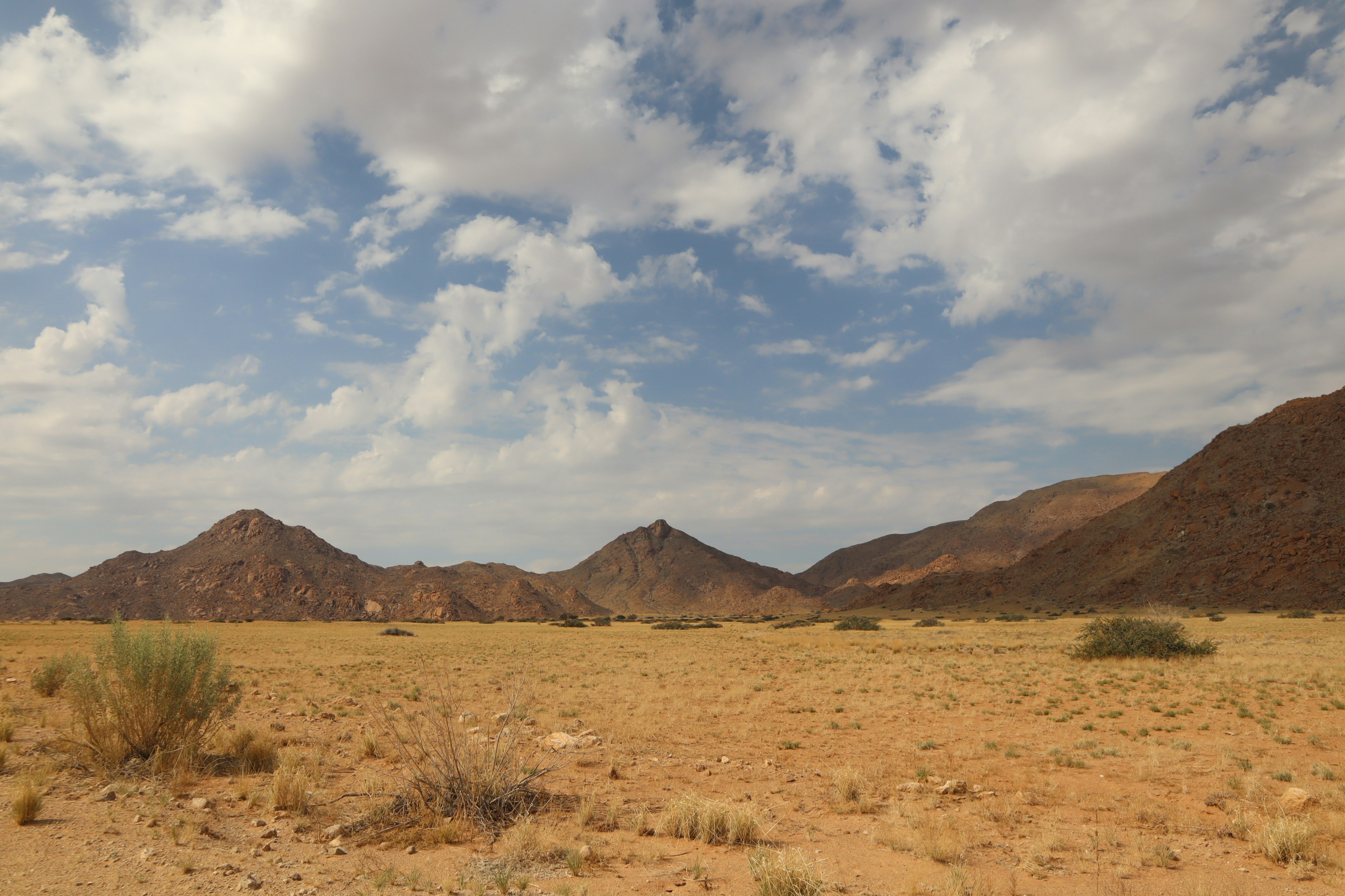 Vast desert landscape with mountains and blue sky