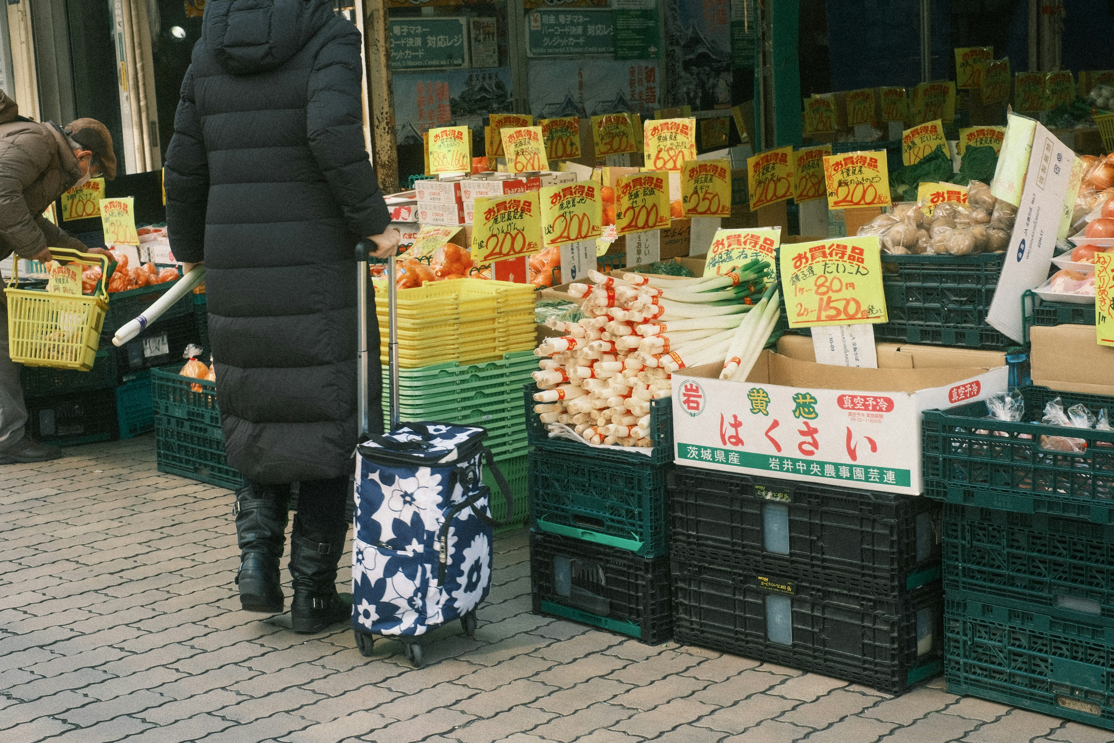 Scène de marché avec des fruits et légumes femme debout avec un chariot de courses