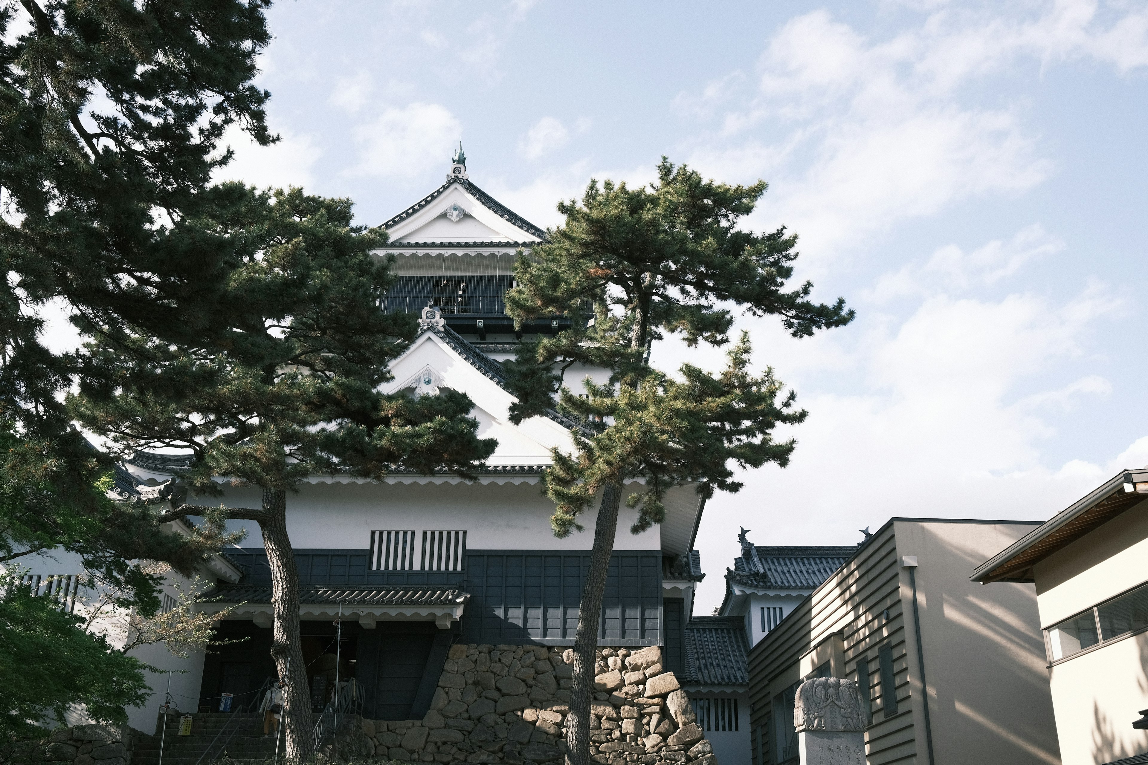 Beau château japonais sous un ciel bleu avec des pins