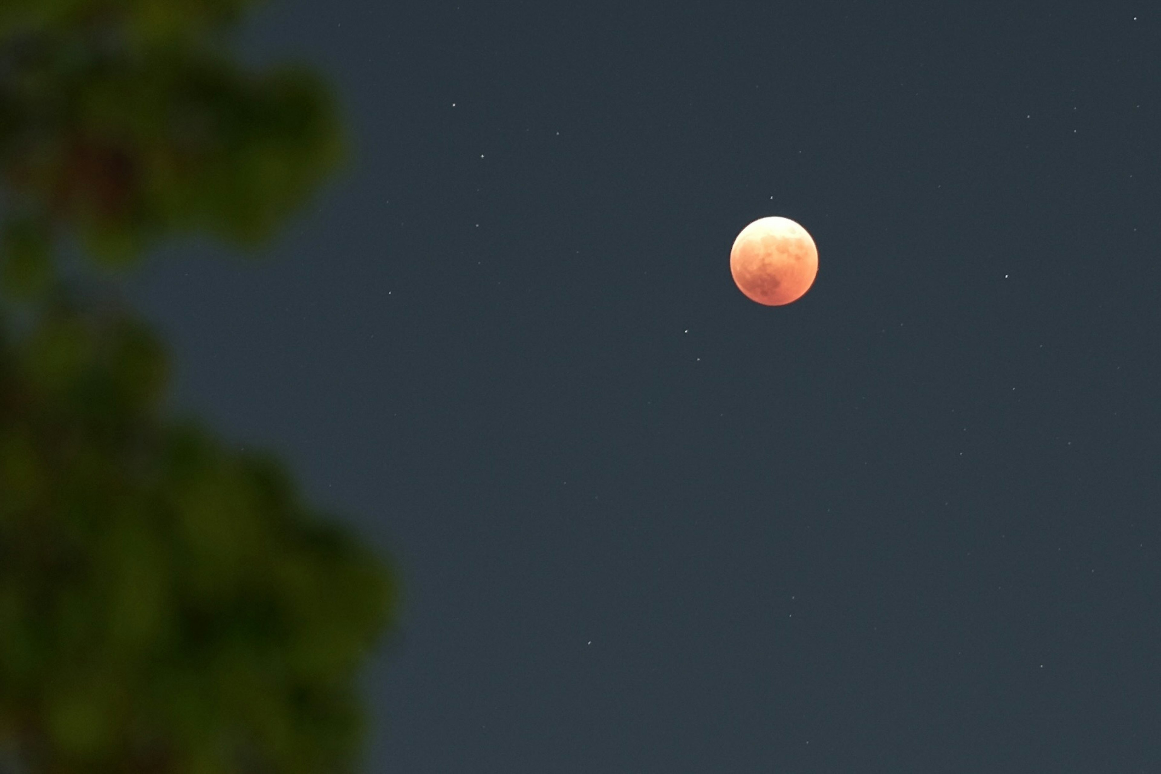 Luna roja y estrellas en el cielo nocturno