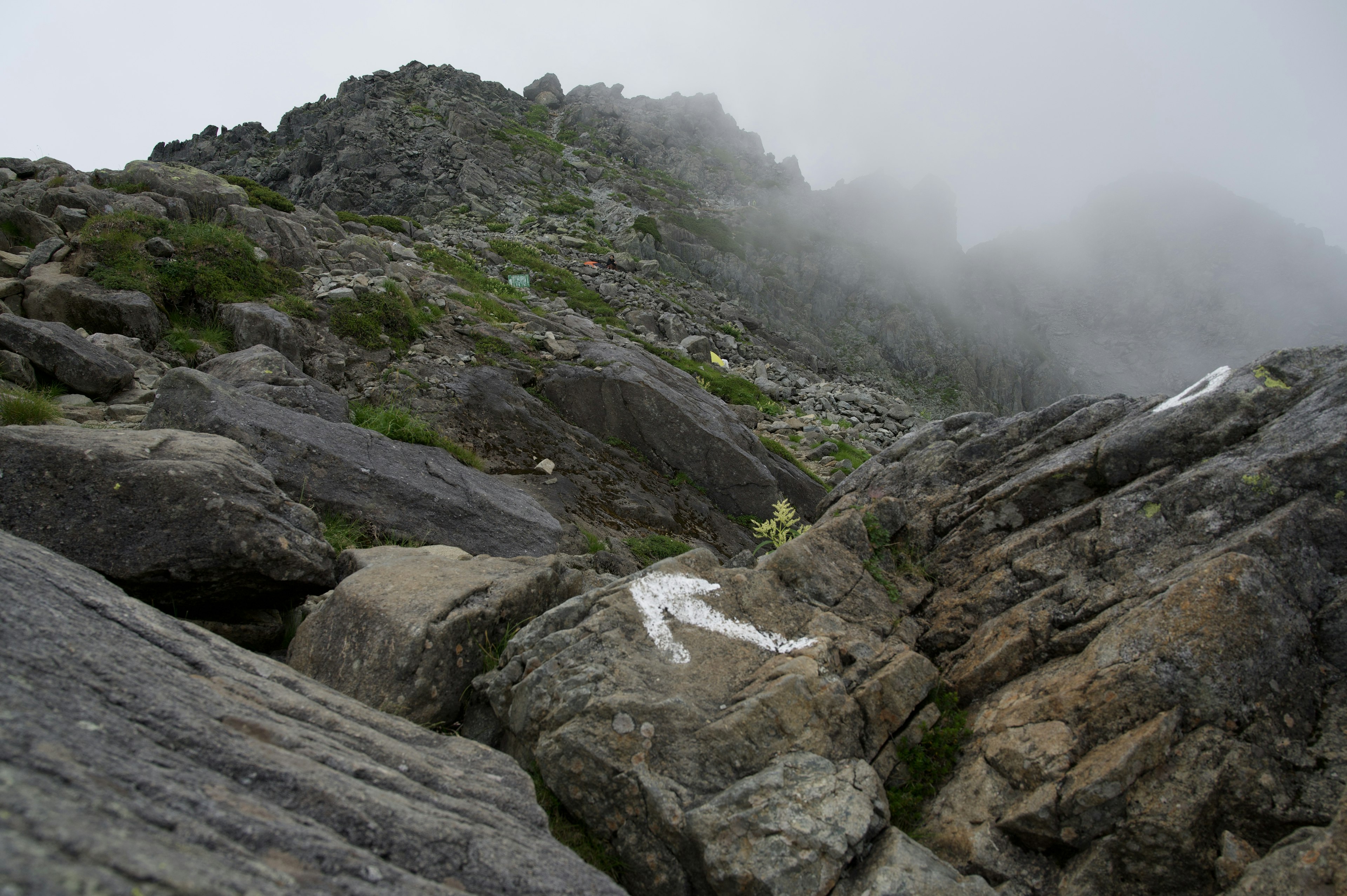 Rocky landscape shrouded in mist with patches of green grass among the stones