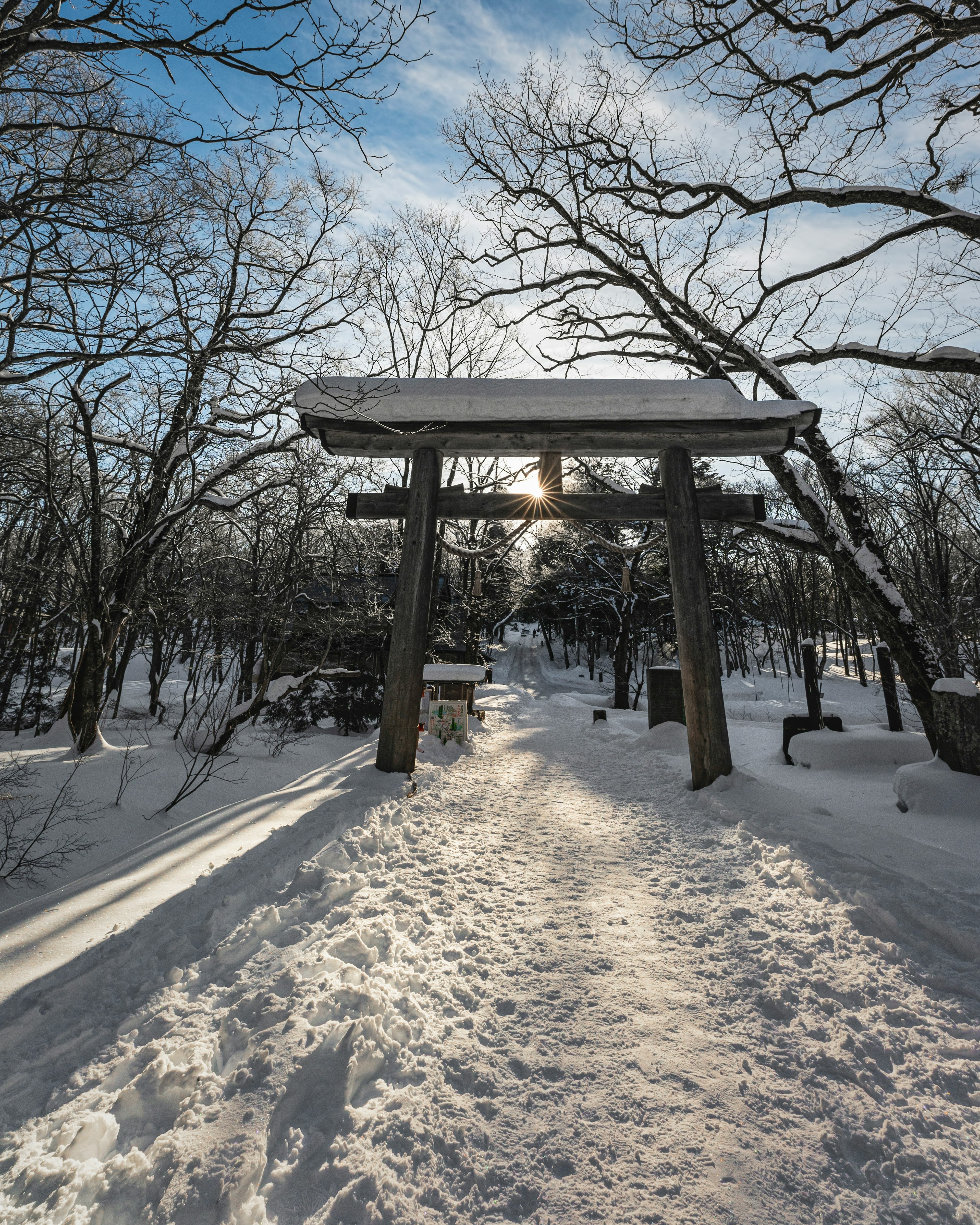 Paesaggio invernale con un sentiero coperto di neve e un cancello torii