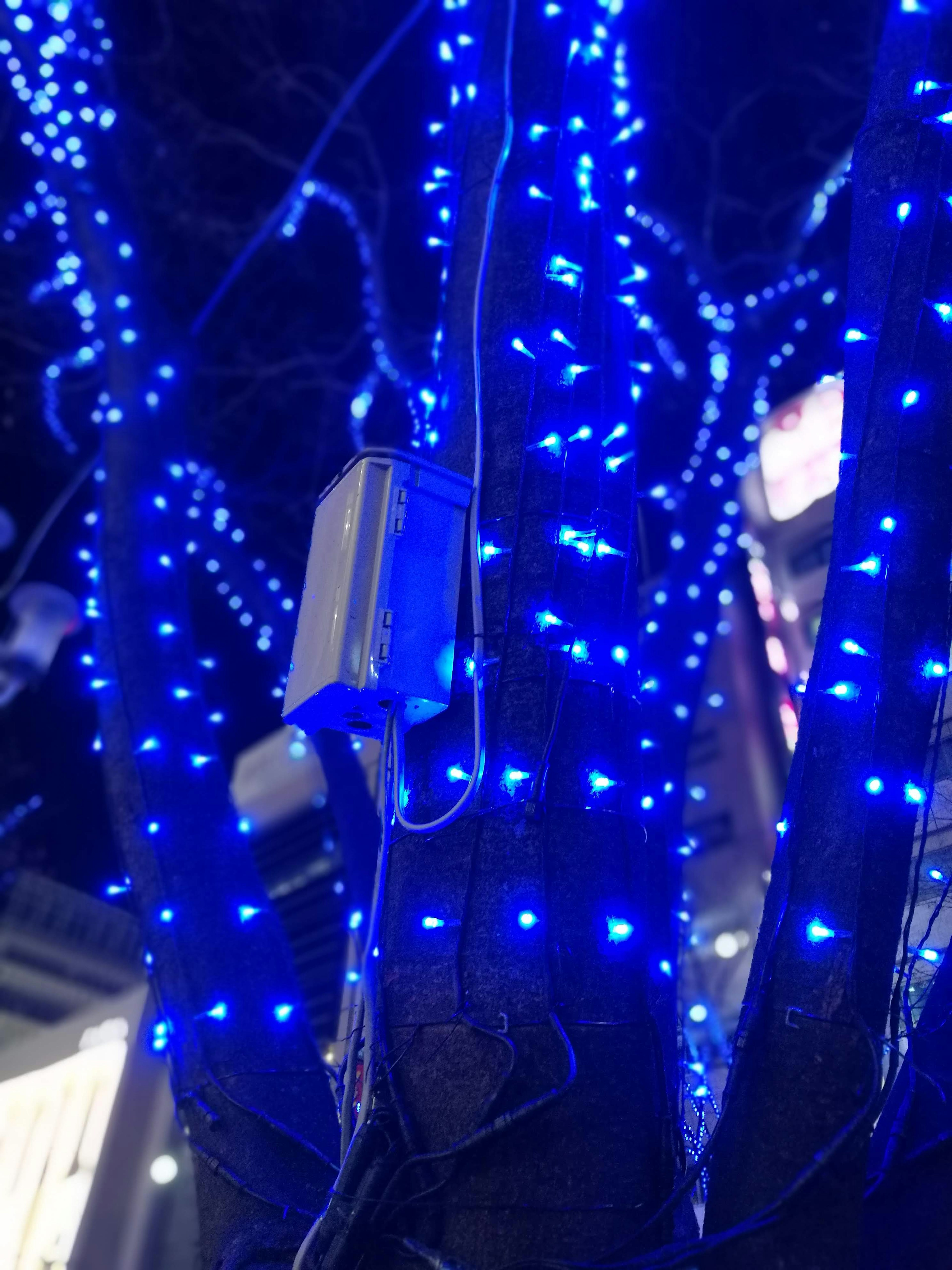 Tronco y ramas de árbol decorados con luces LED azules