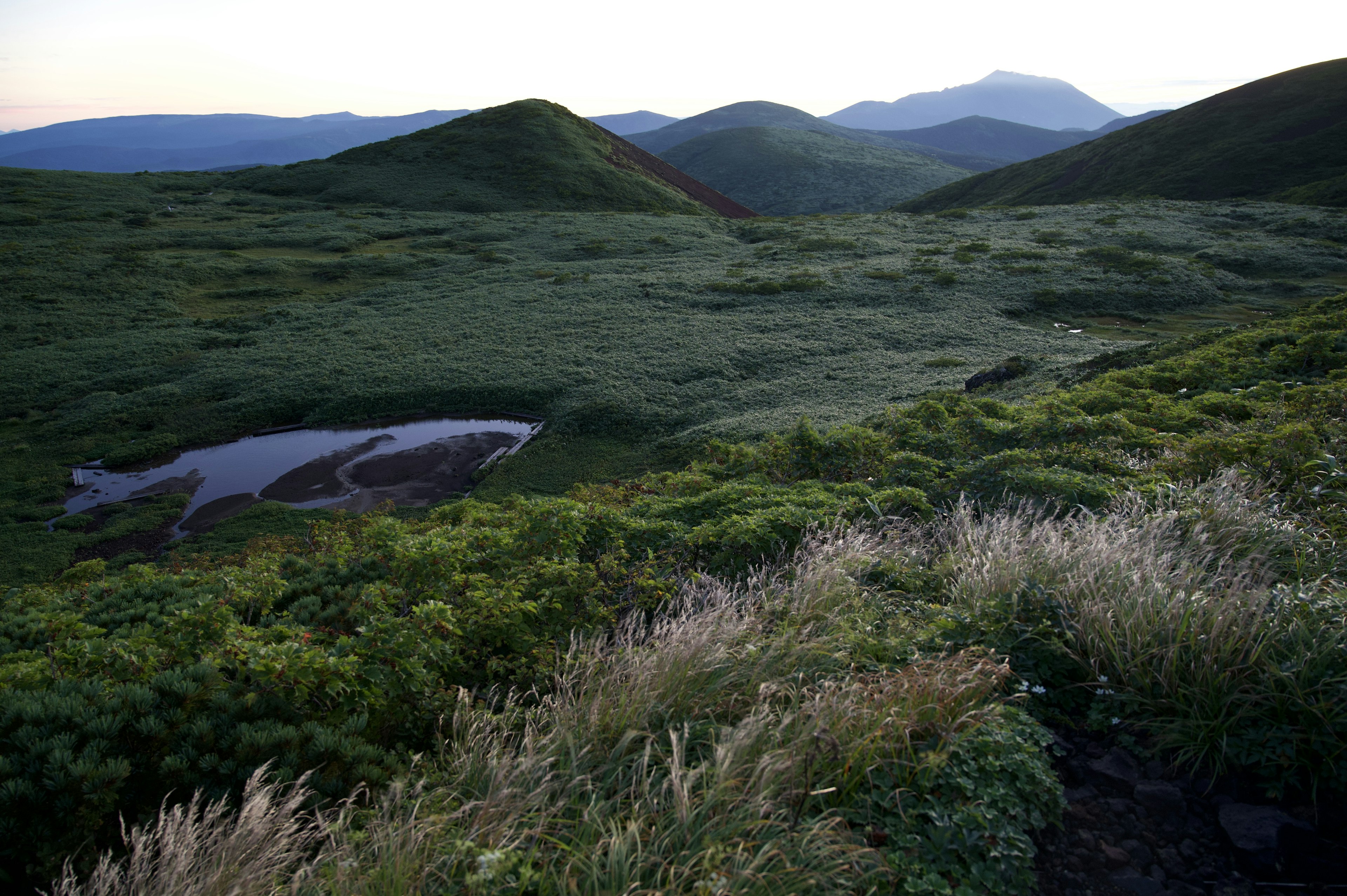 Vista panoramica di colline verdi e uno stagno al crepuscolo con luce soffusa