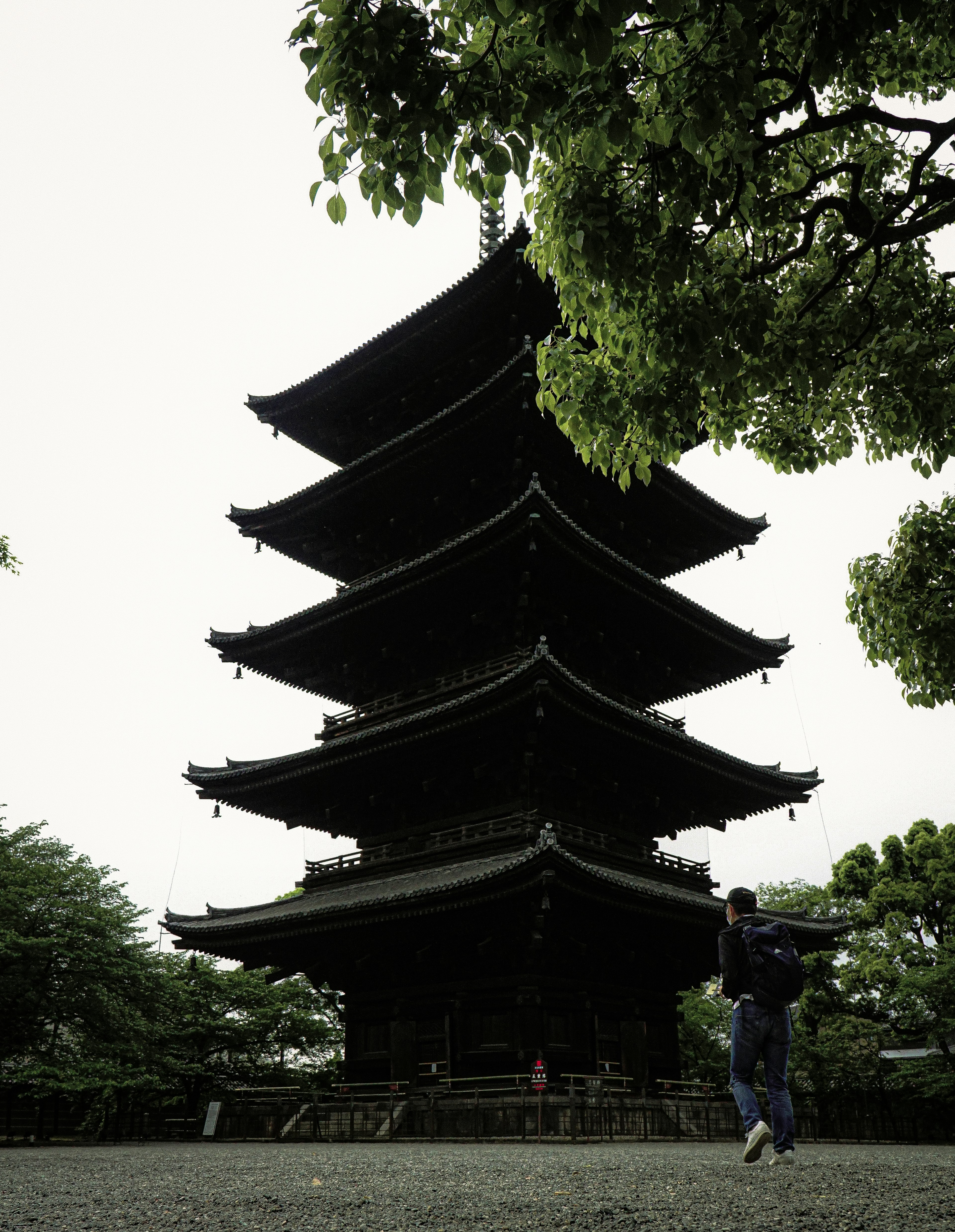 五重塔の近くを歩く人物 緑の木々に囲まれた静かな風景