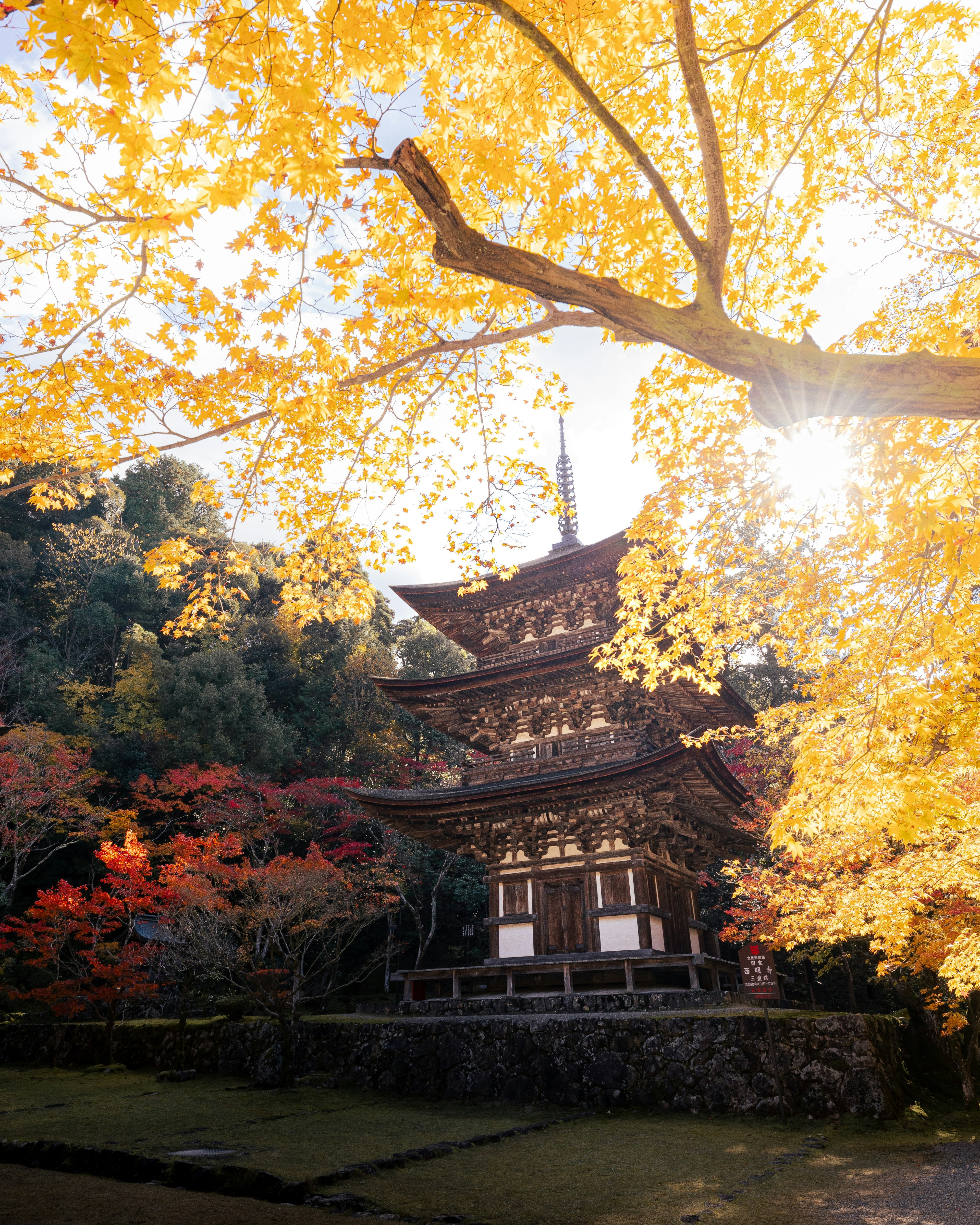 Traditioneller japanischer Tempel umgeben von wunderschönem Herbstlaub