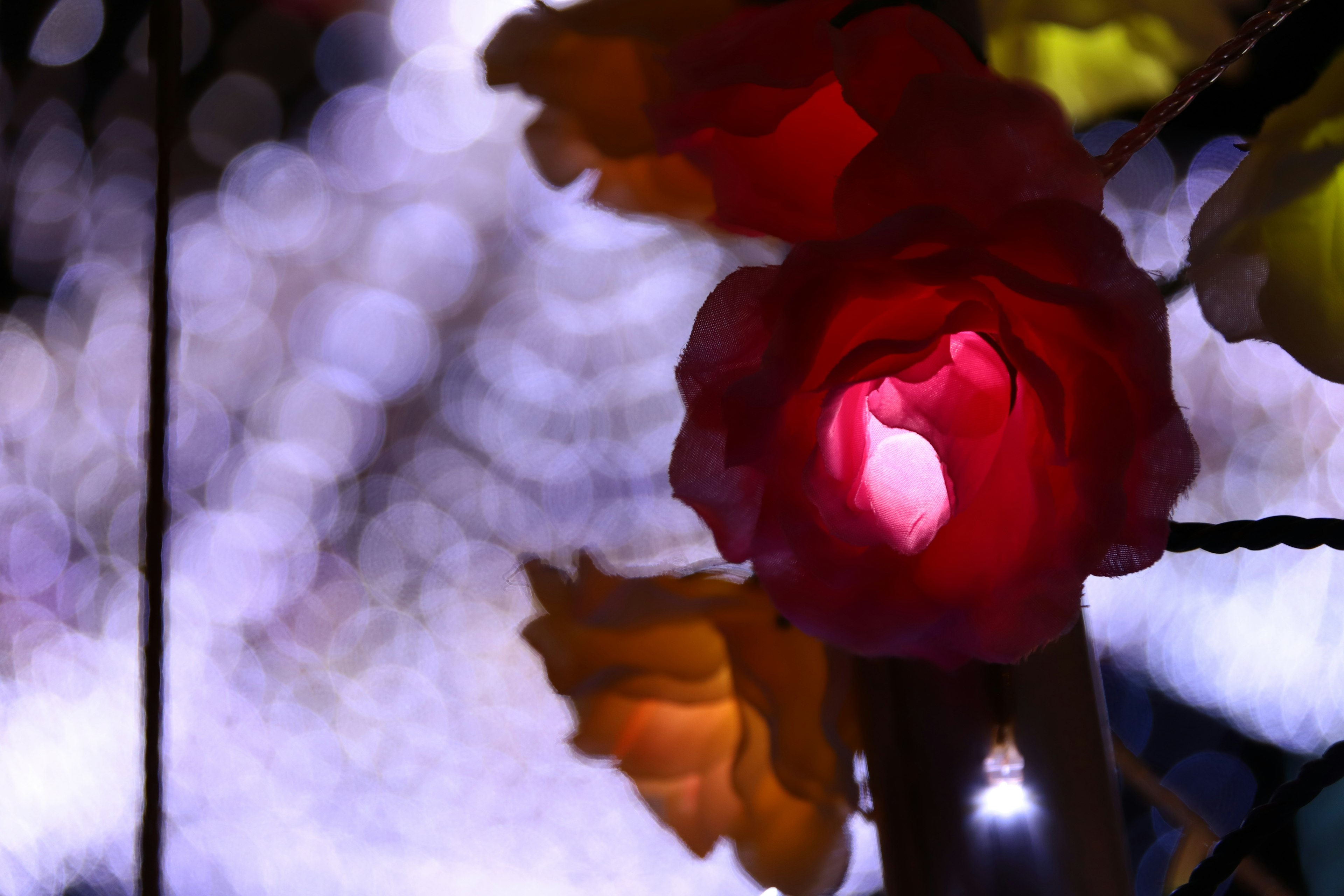 Una hermosa exhibición de luz con flores coloridas contra un fondo borroso