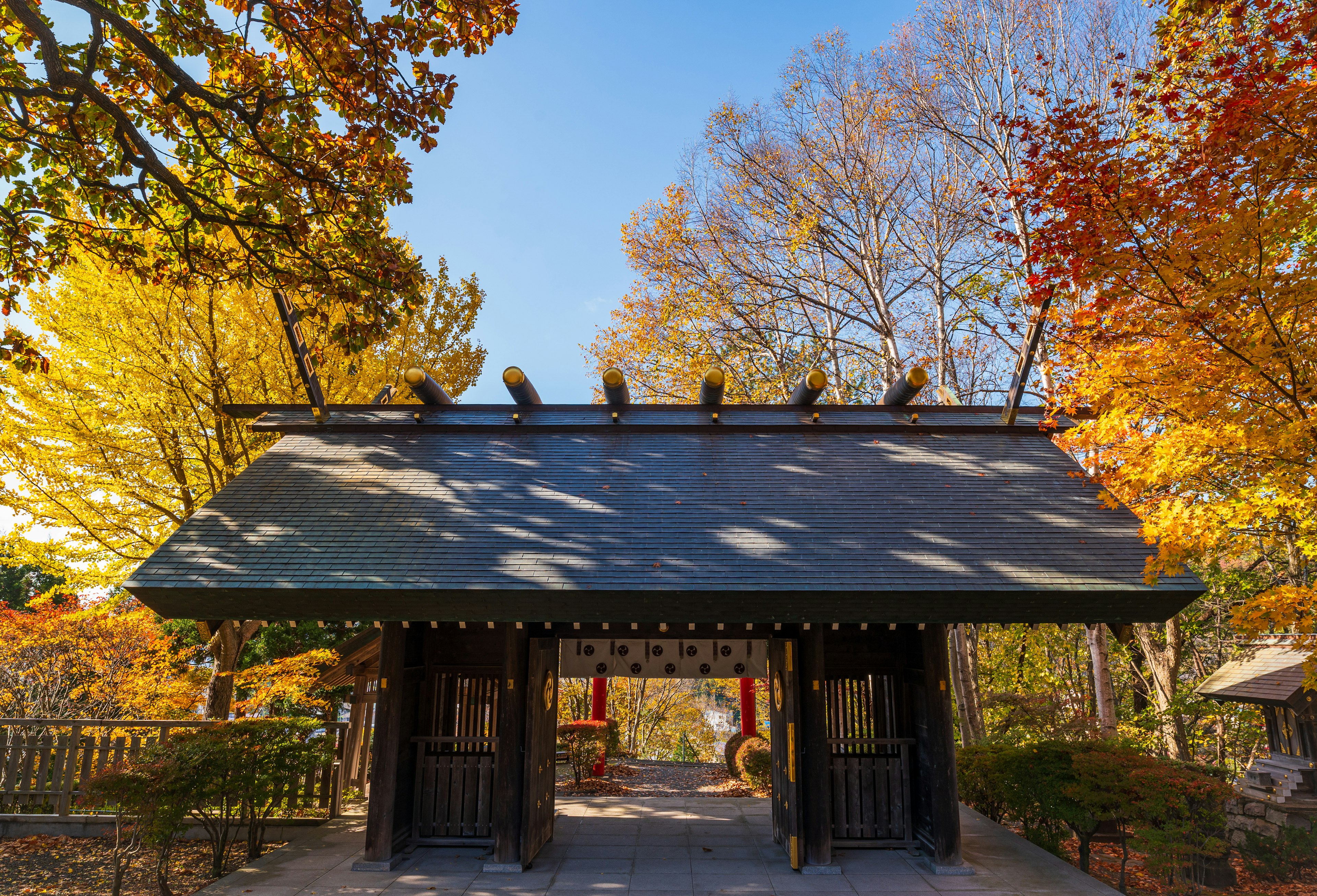 Traditional Japanese gate surrounded by vibrant autumn foliage