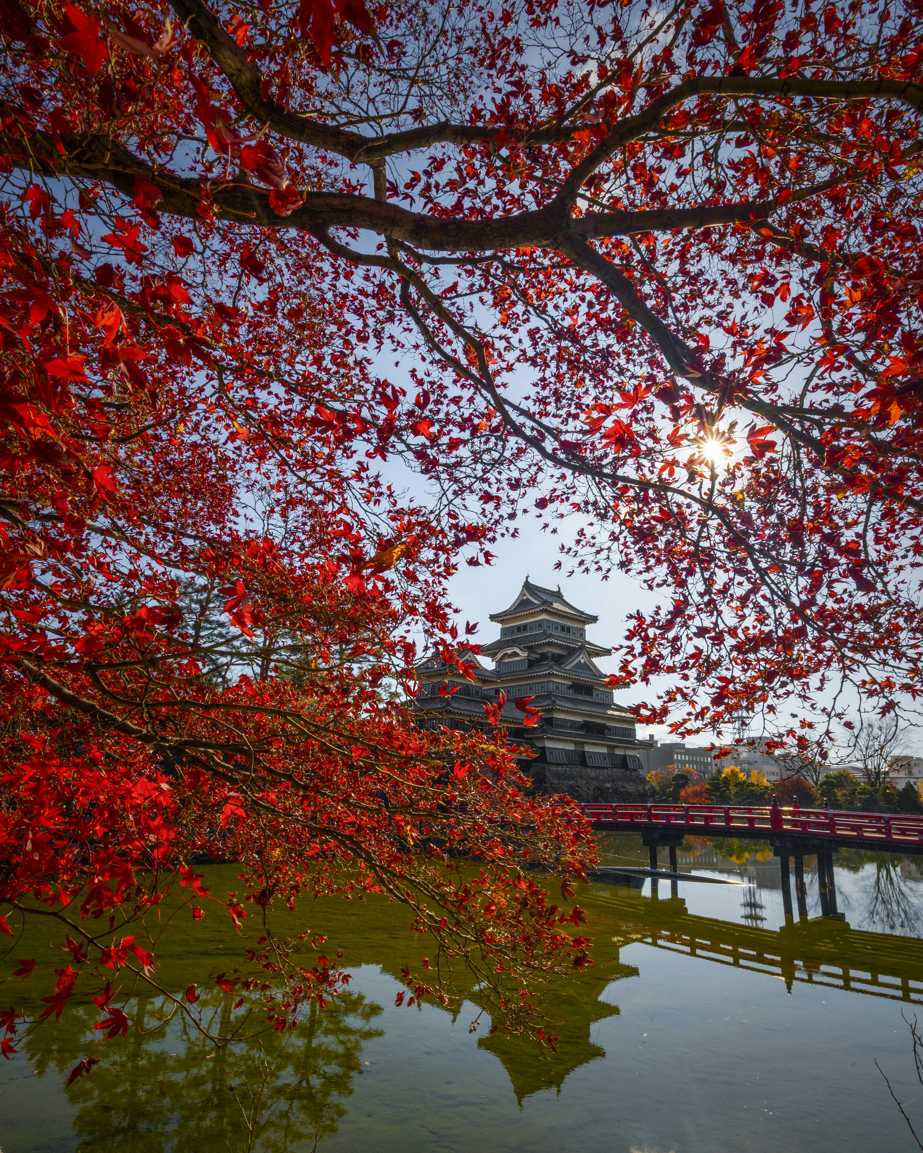 Malersicher Blick auf ein Schloss, das im Wasser reflektiert wird, umgeben von Herbstlaub