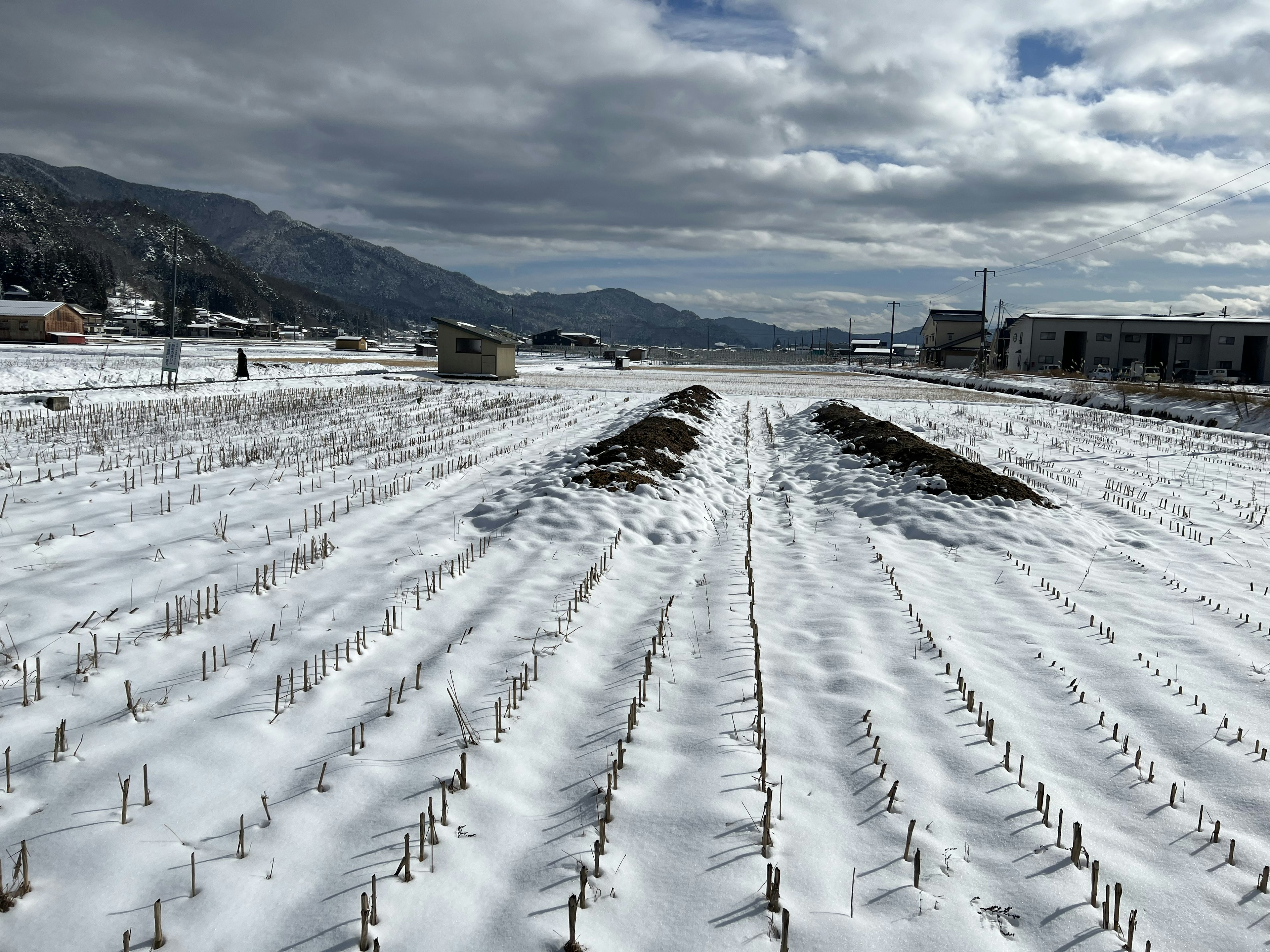 Snow-covered farmland with mountains in the background