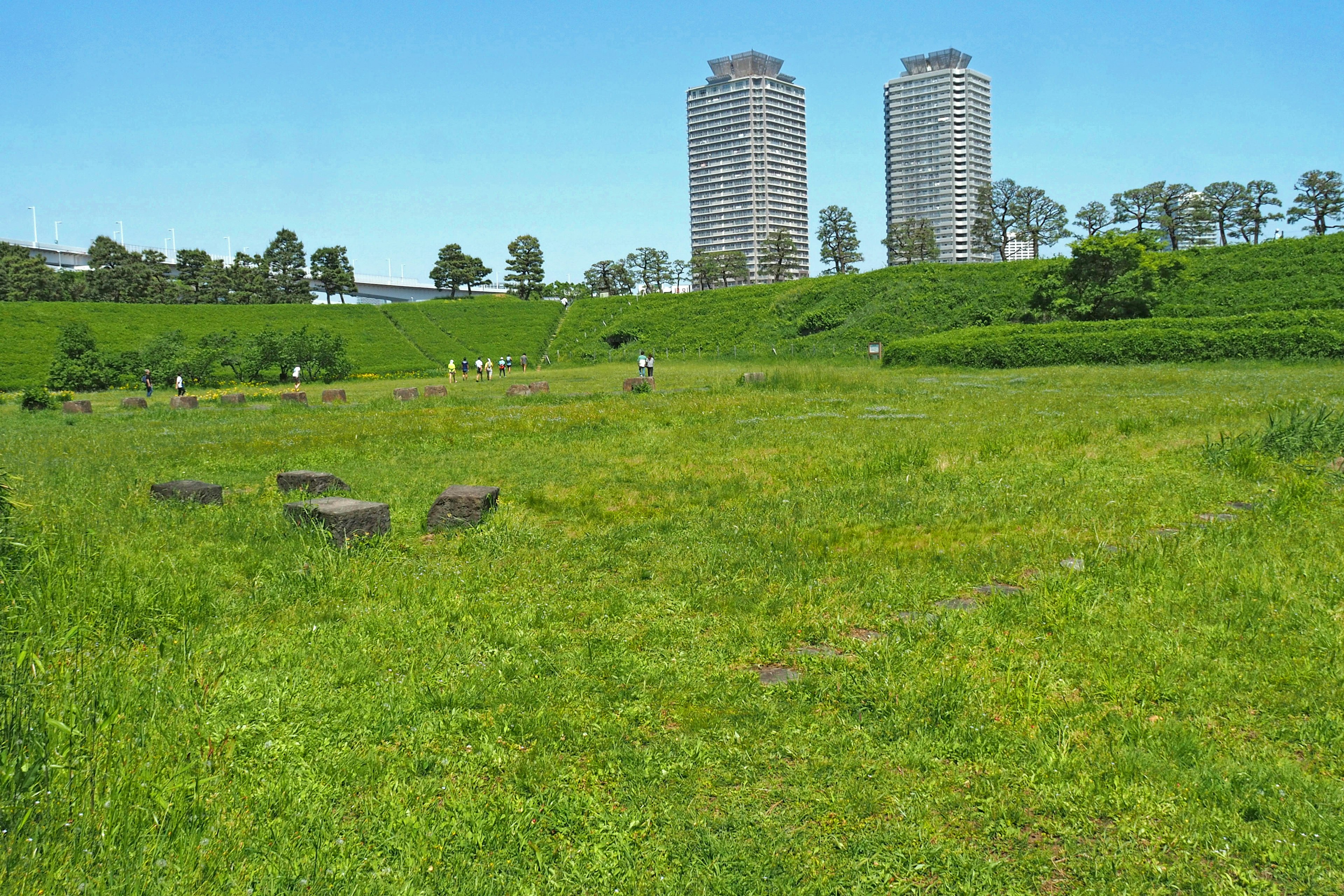 A green meadow with two tall buildings in the background