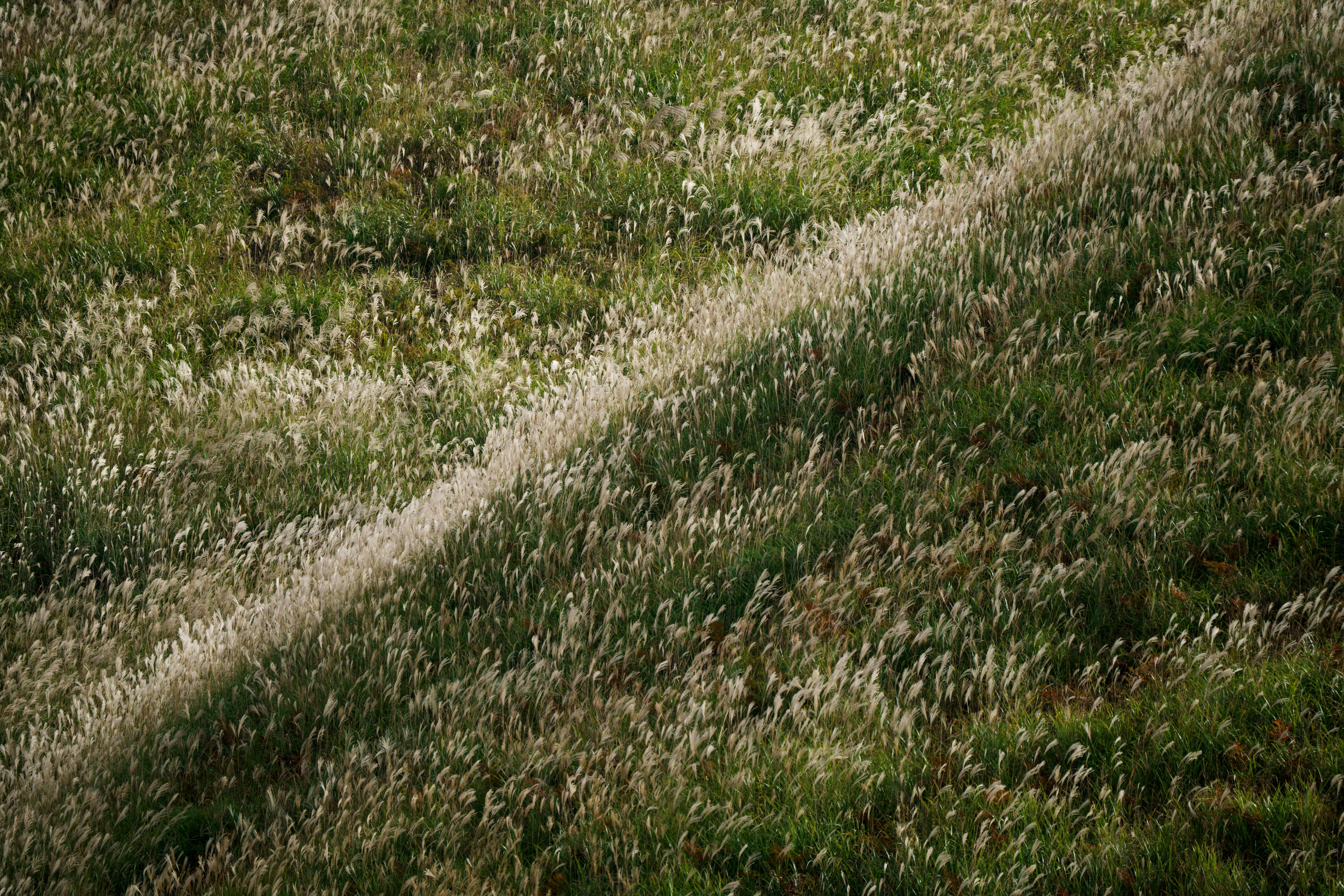 photo-CVZvn9E7OXudZRM8qu59-image