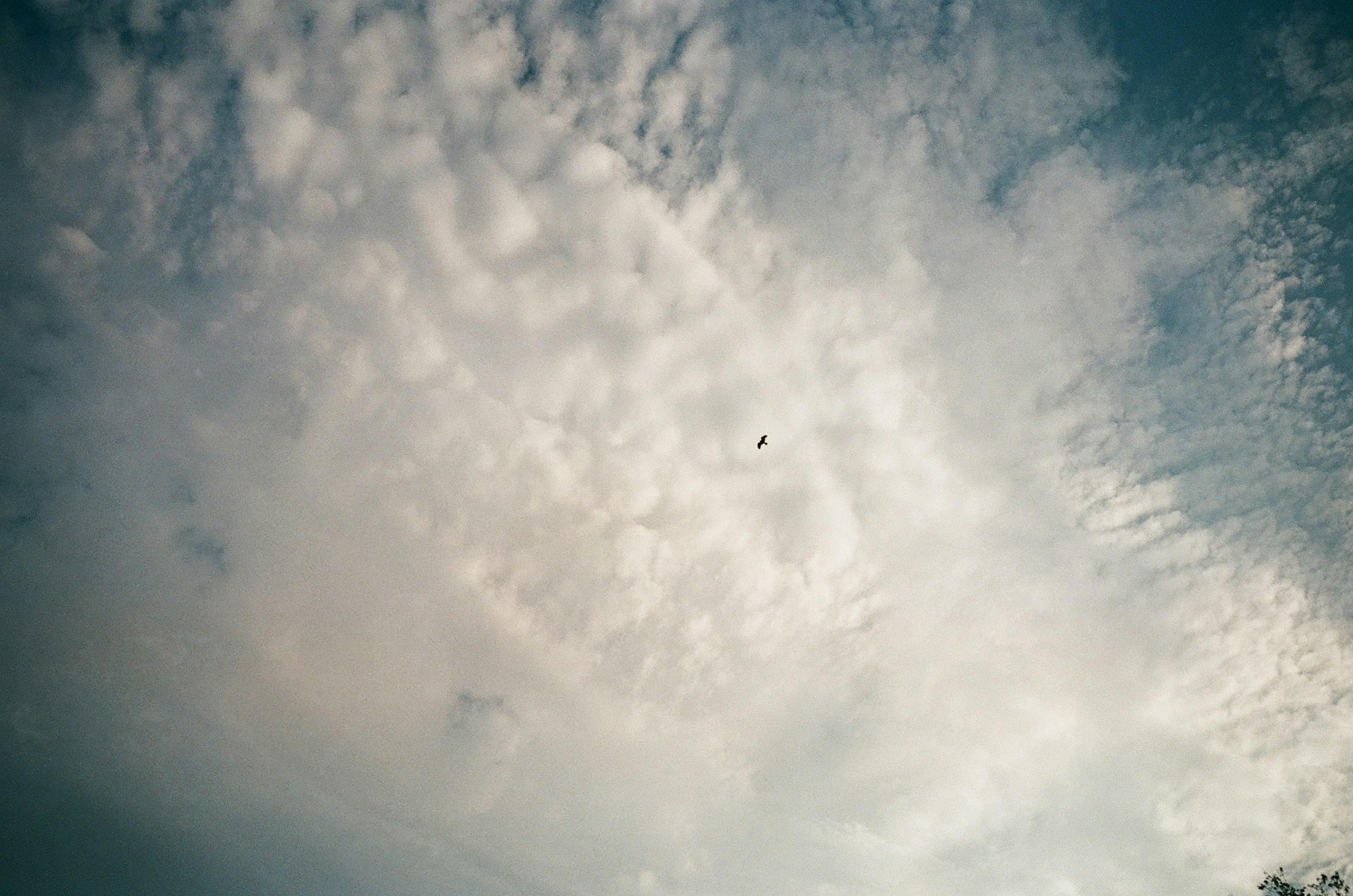 Nuages texturés dans un ciel bleu