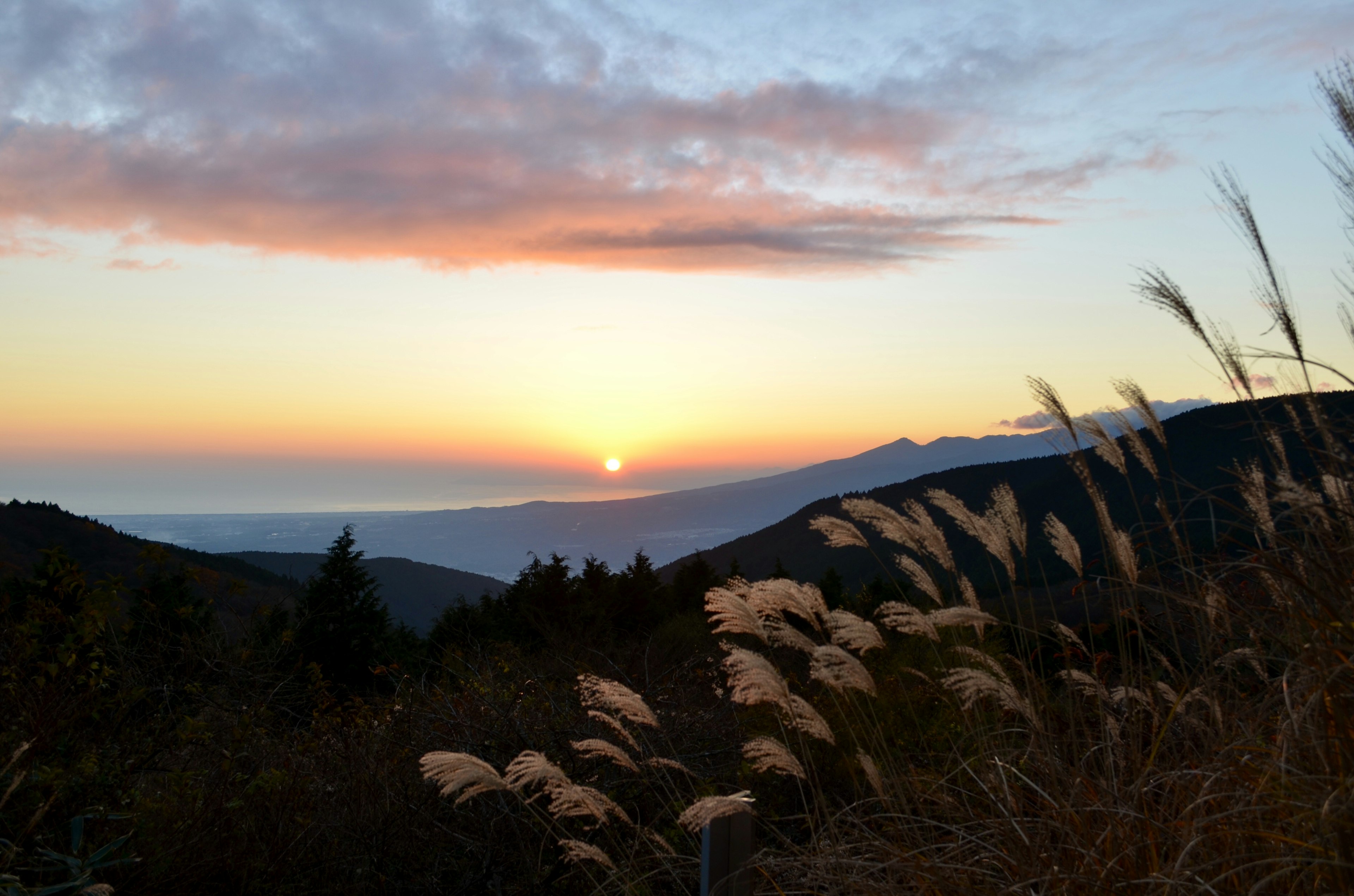 夕日が沈む美しい山の風景と穂が揺れる風景