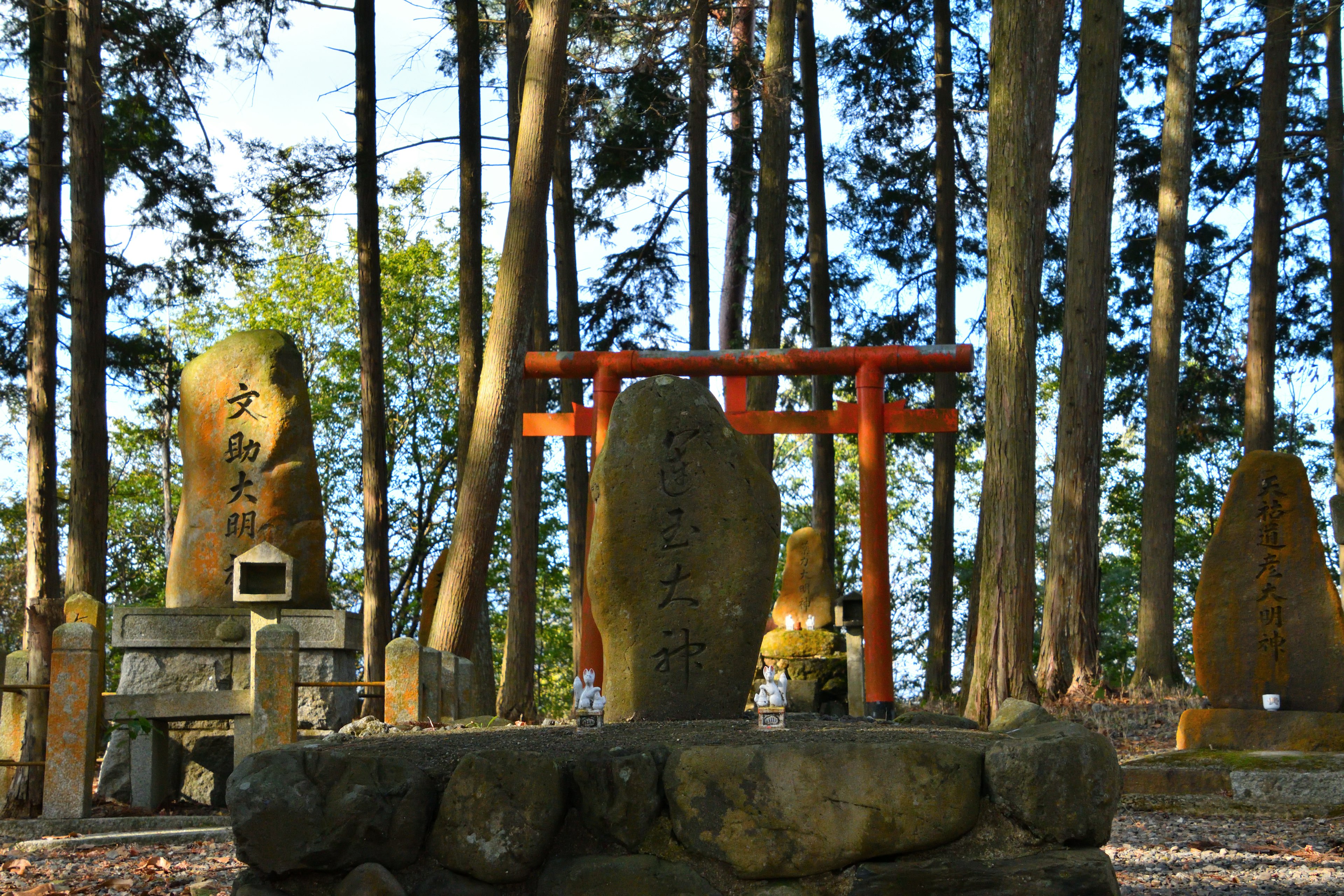 Malersiche Ansicht von Steinmonumenten und einem Torii in einem Wald