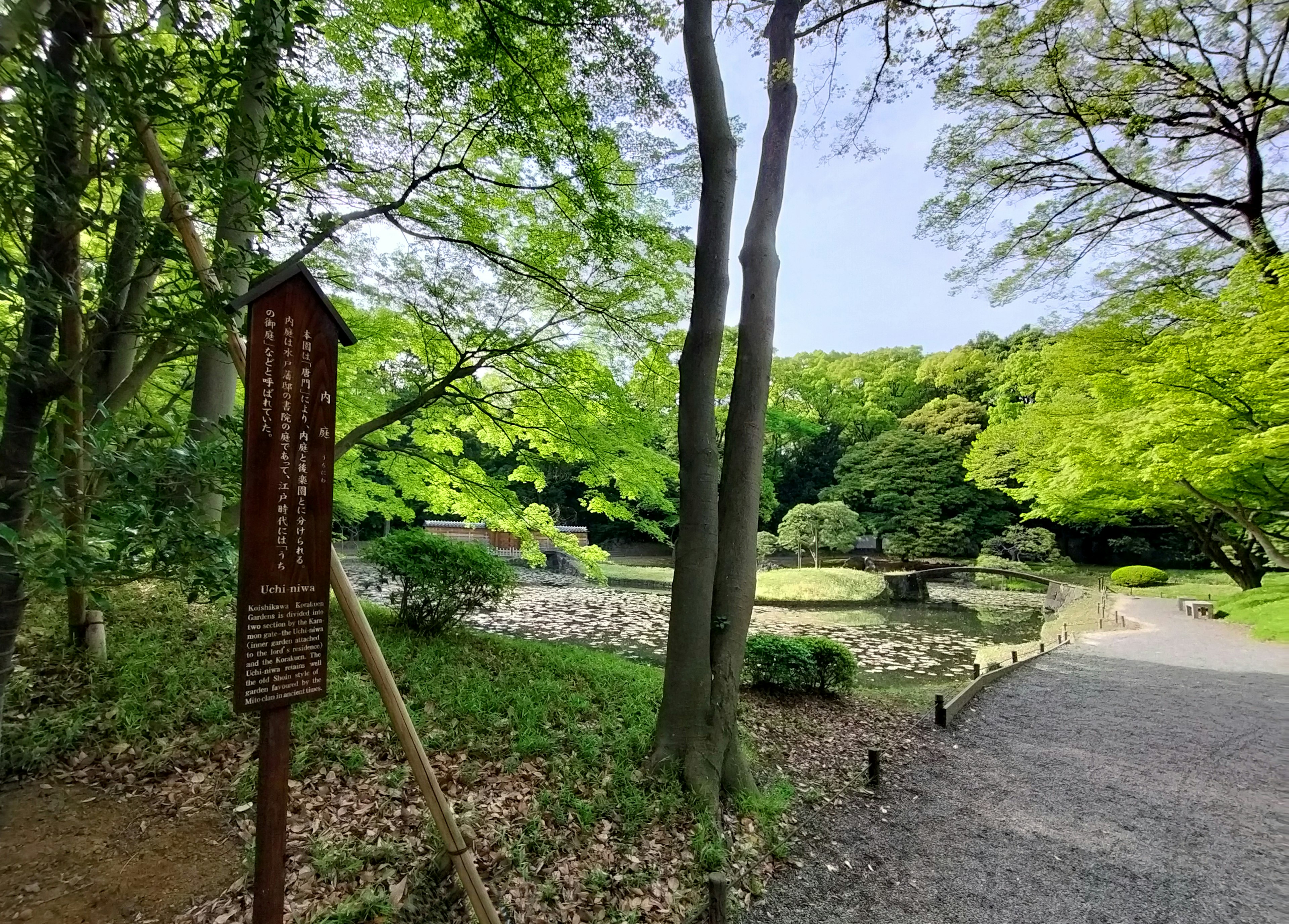 Paesaggio di parco verdeggiante con un cartello vicino a uno stagno