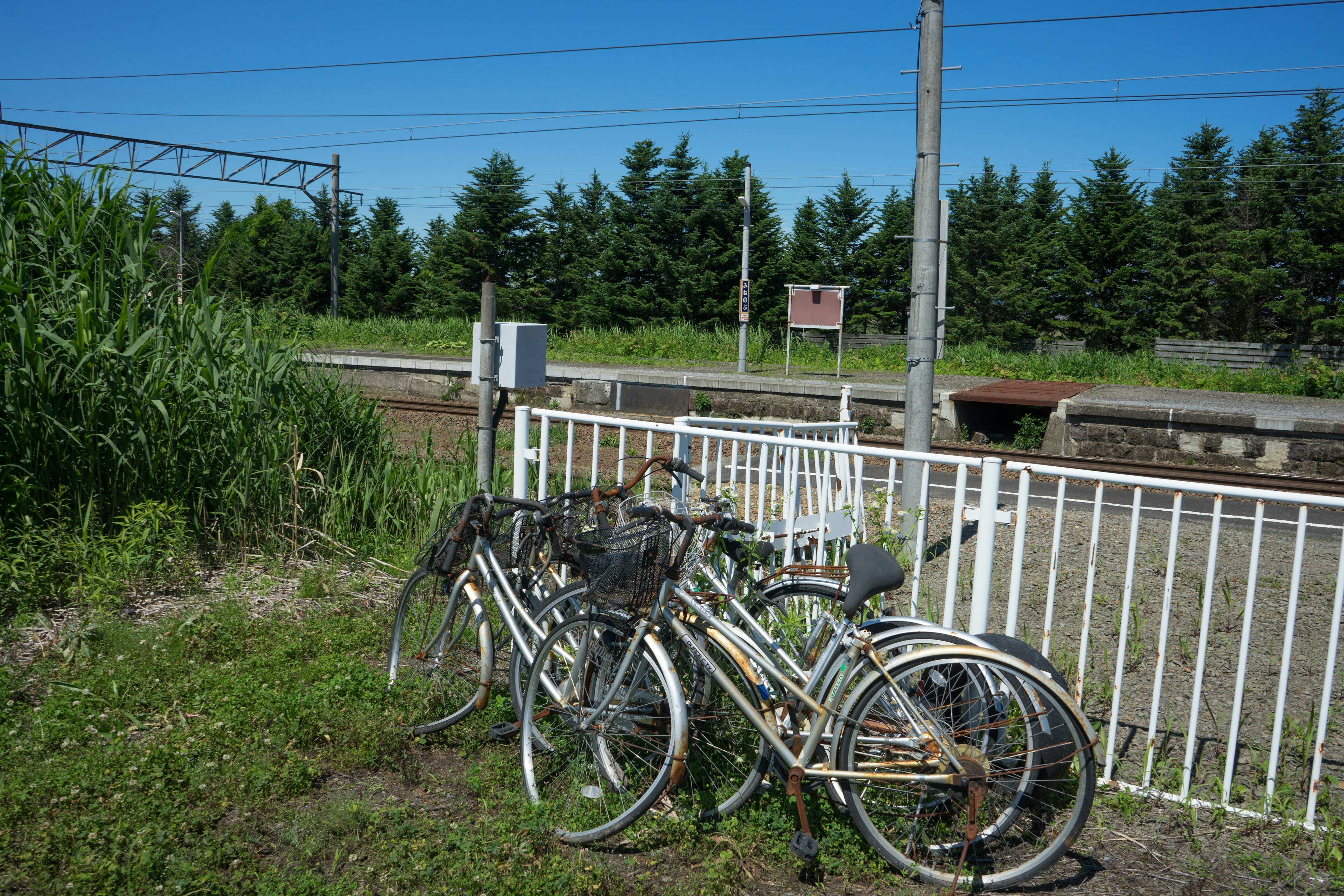 Plusieurs vélos sont garés près d'une clôture avec un arrière-plan verdoyant et un ciel bleu clair