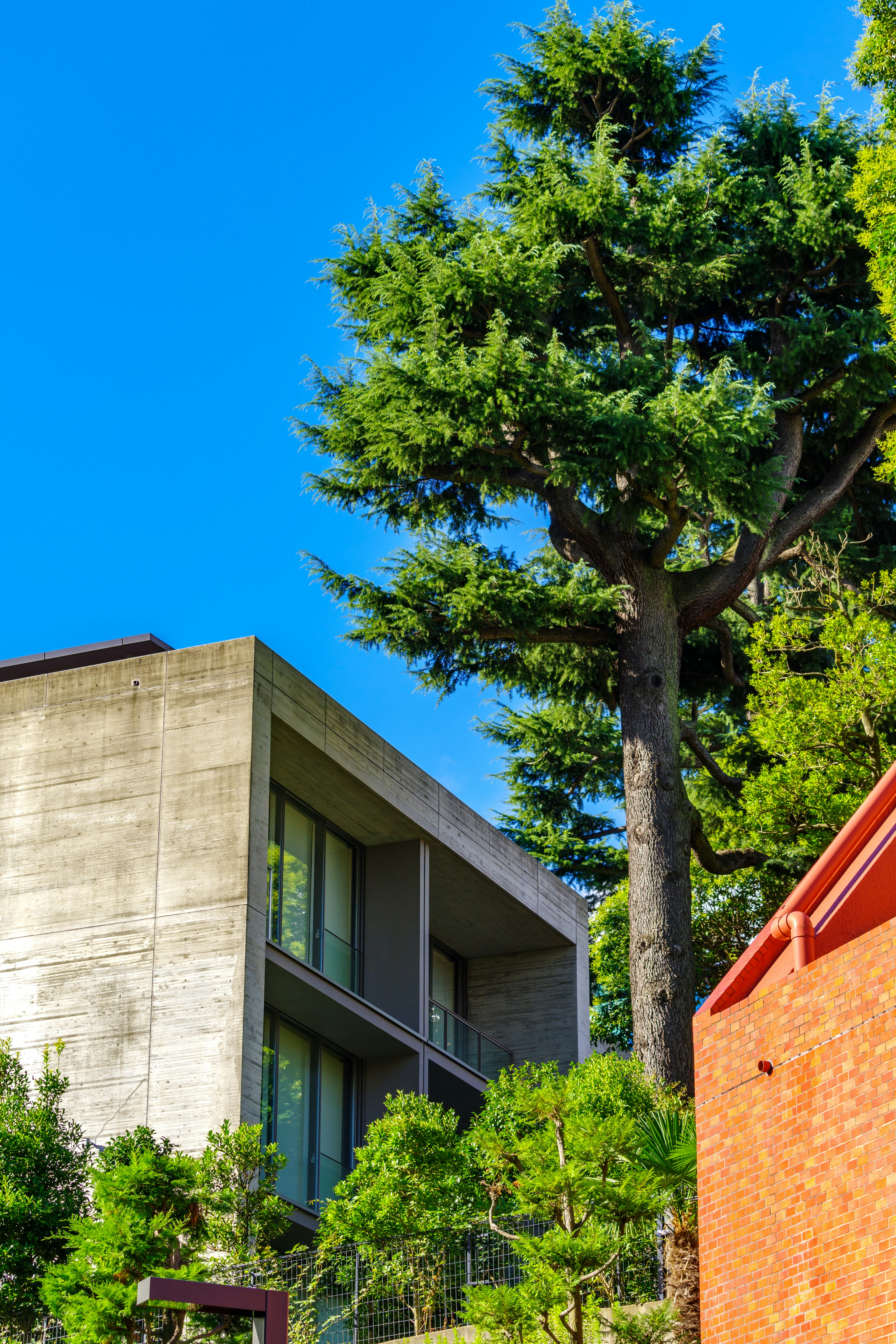 Casa moderna de concreto con vegetación exuberante y cielo azul claro