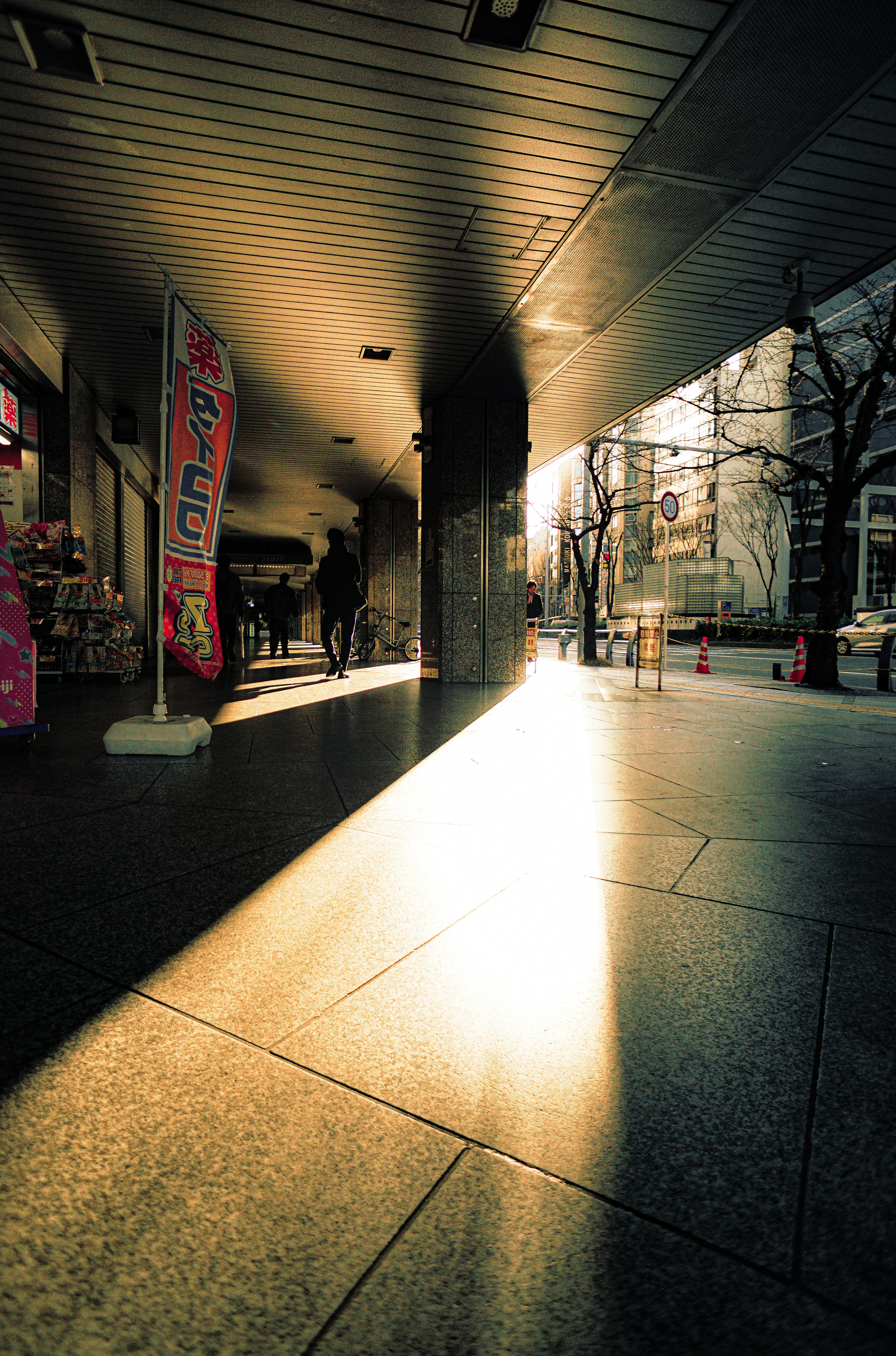 Street view with sunlight illuminating the pavement