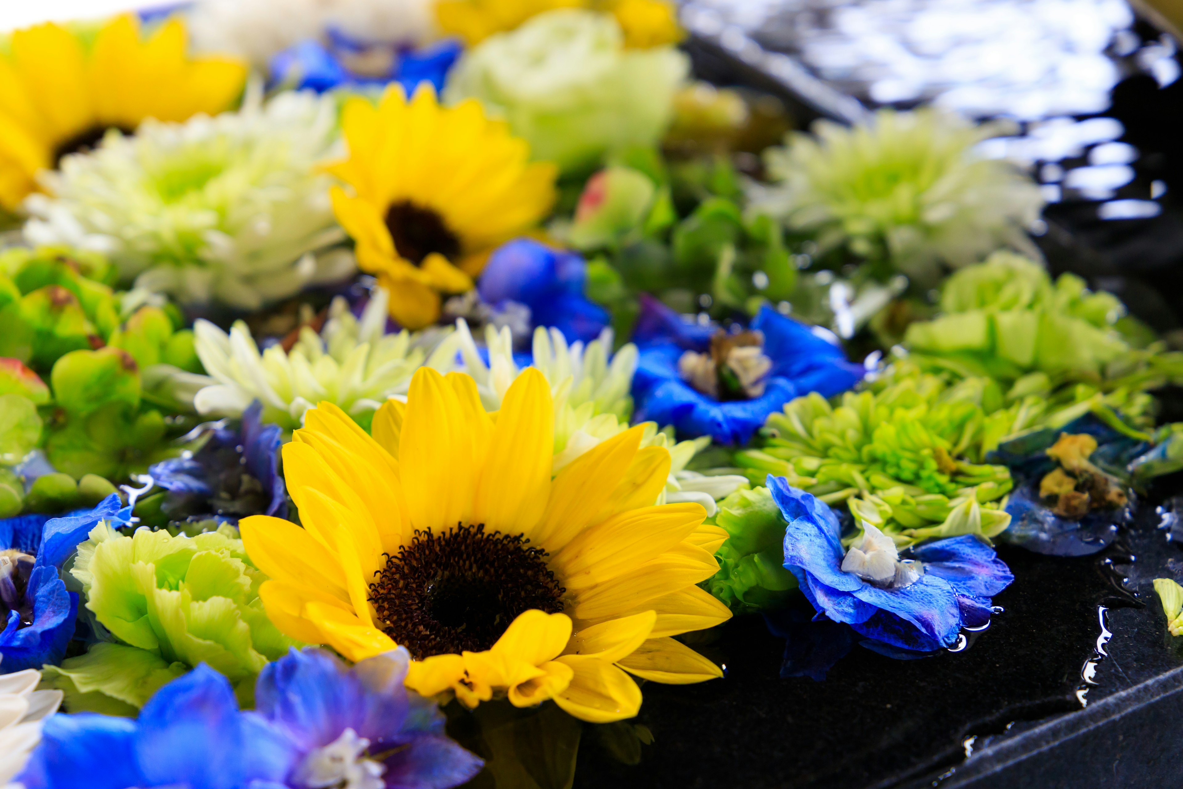 Colorful flower arrangement floating on water featuring bright yellow sunflowers and blue blooms