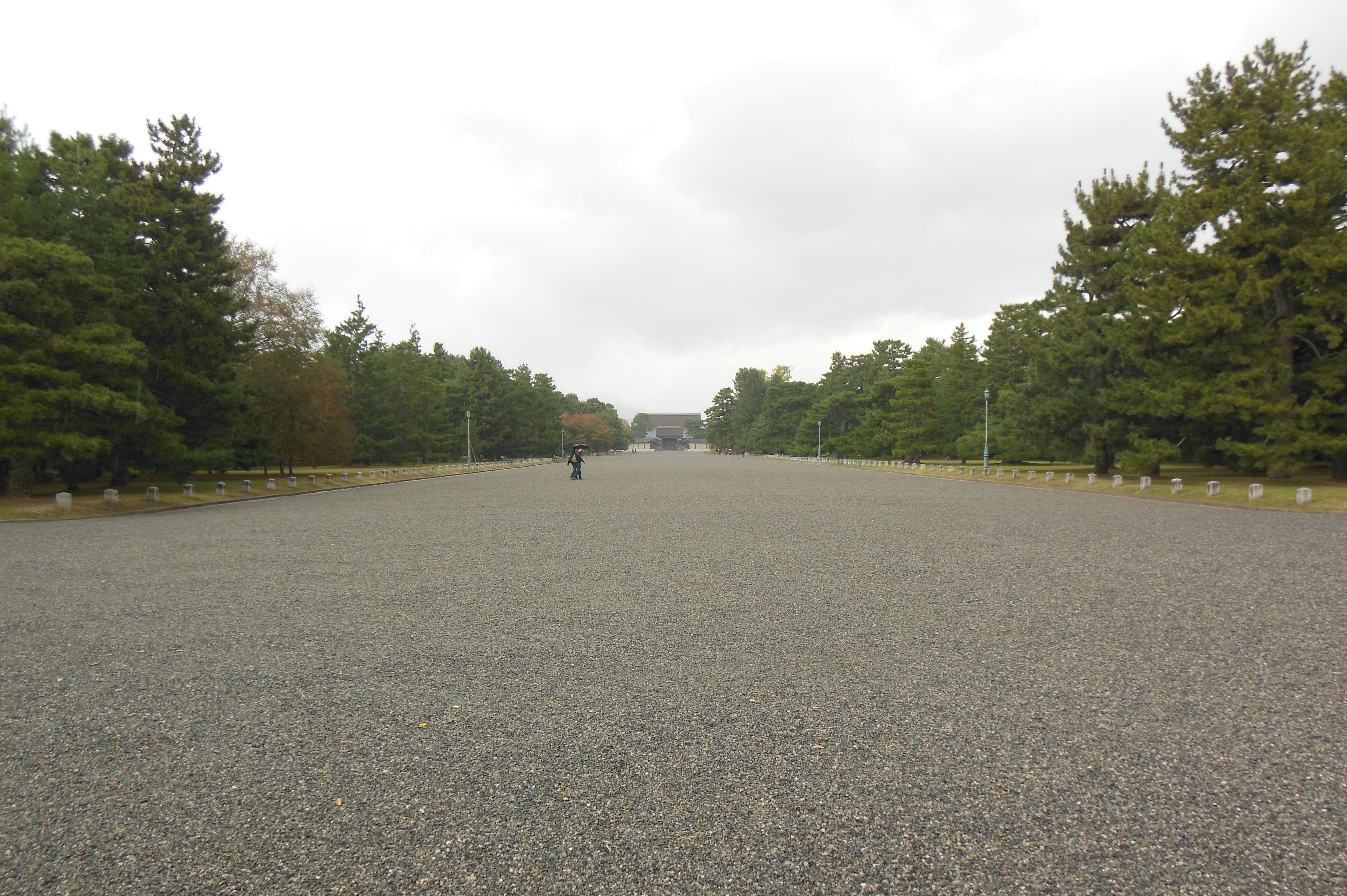 Wide gravel path lined with trees