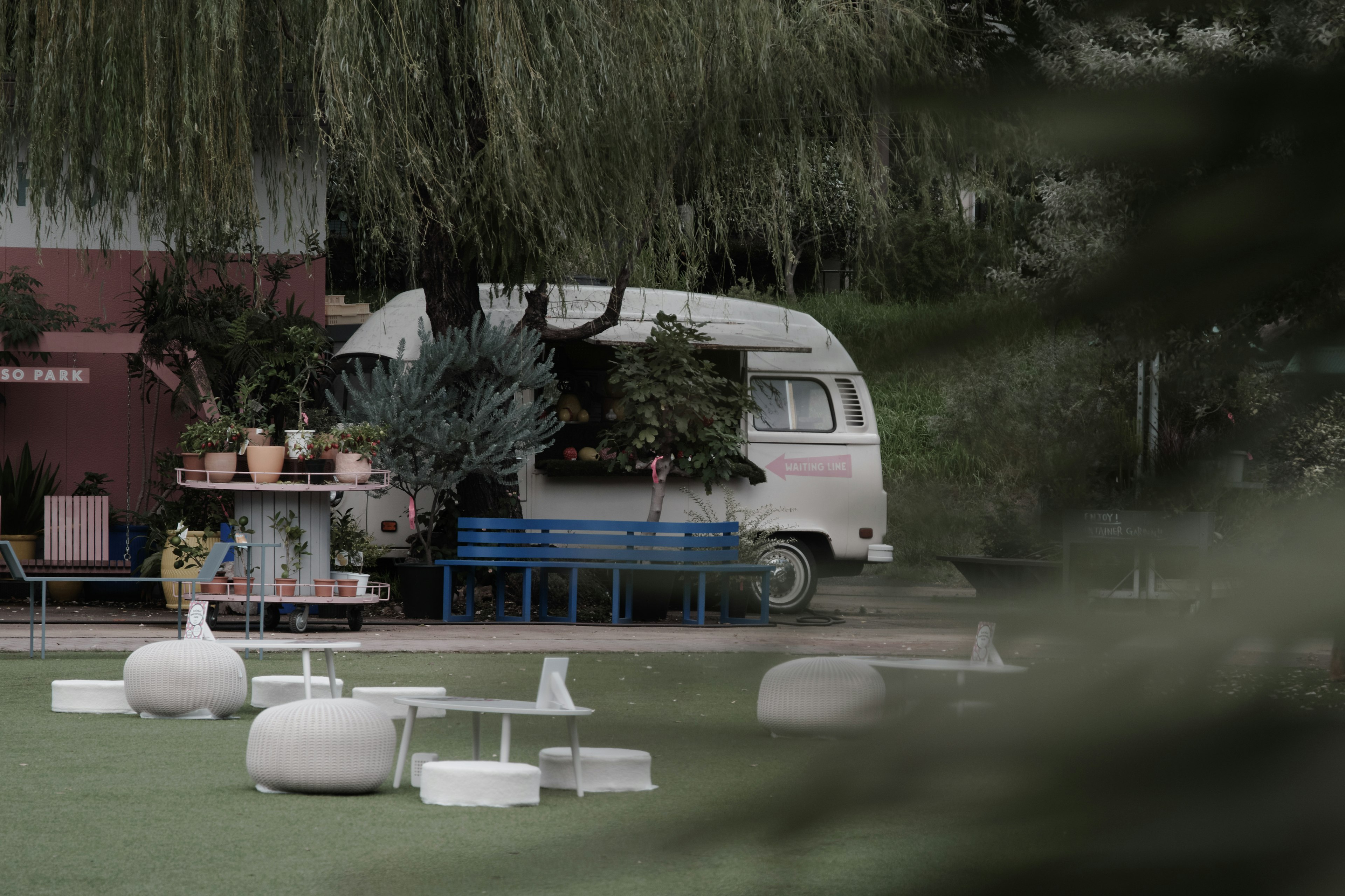 Une zone de café avec une camionnette blanche et diverses plantes sur de l'herbe verte