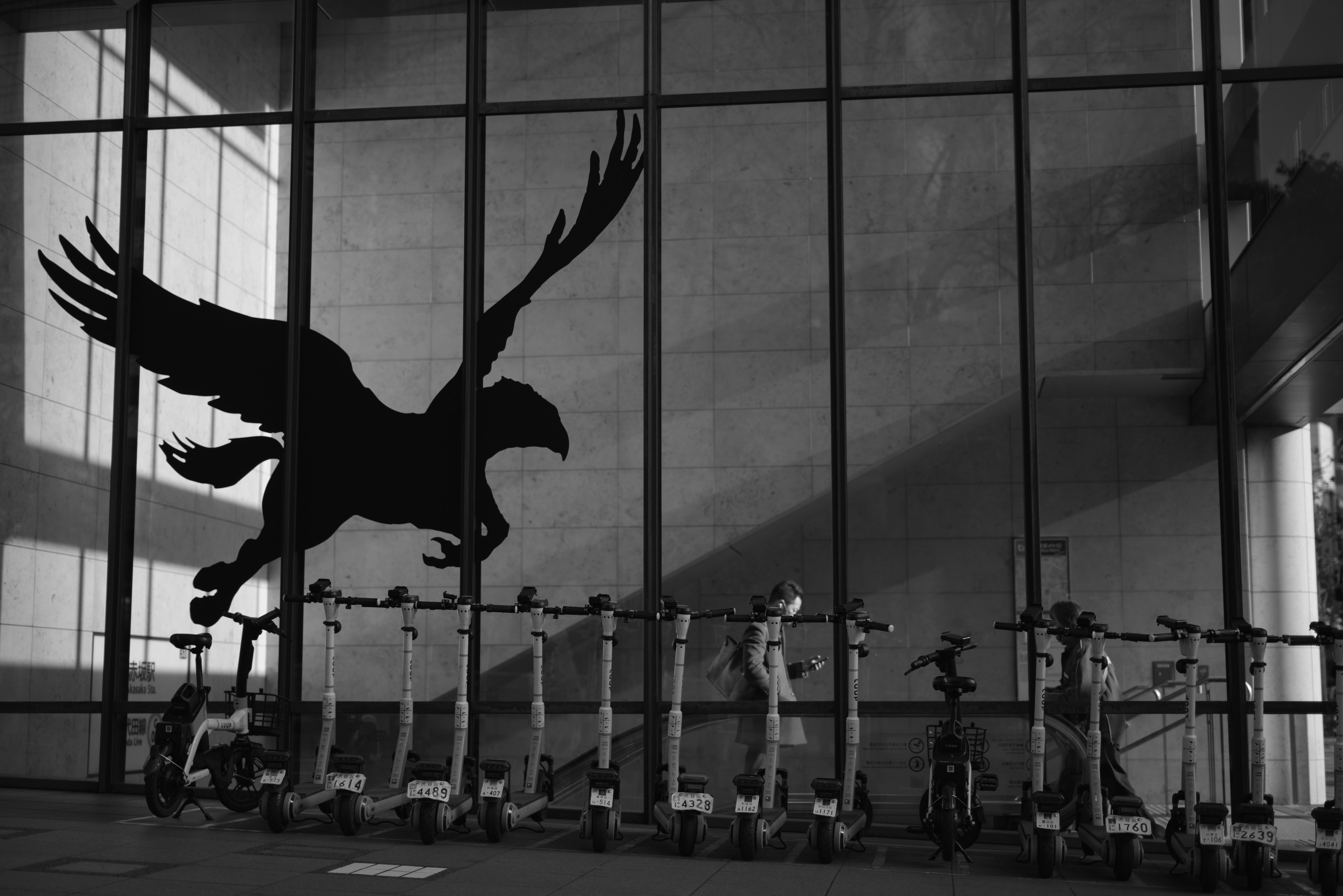 Gran silueta negra de un águila en la pared junto a patinetes eléctricos estacionados