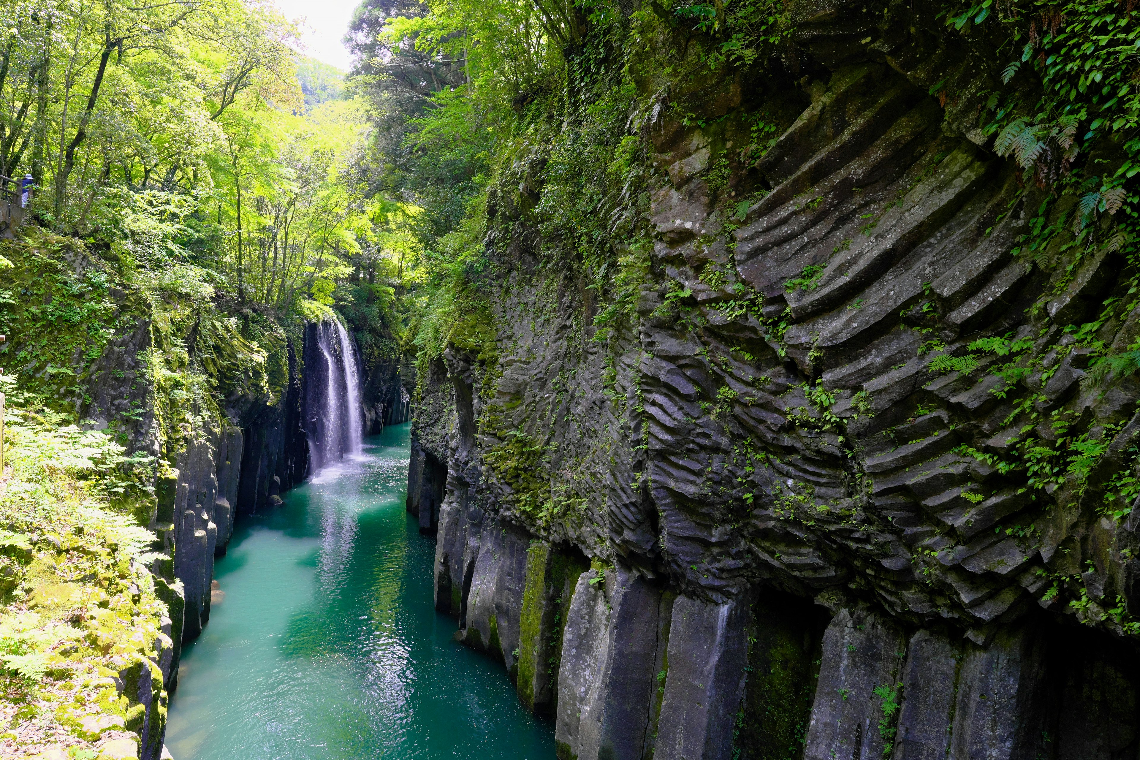 Canyon panoramico con una cascata circondata da vegetazione lussureggiante