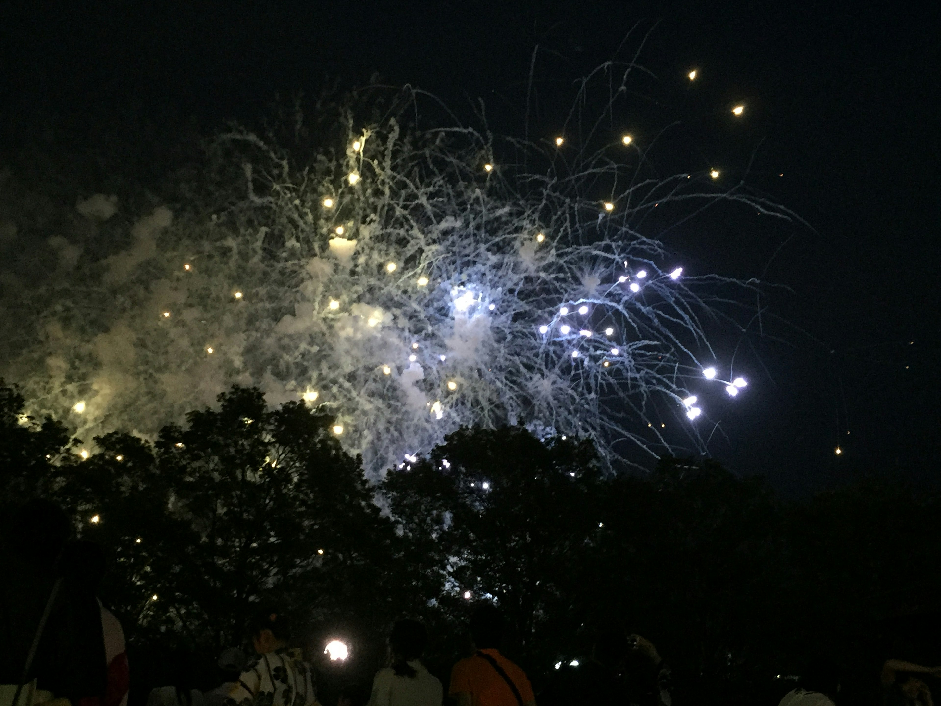 Beautiful fireworks display lighting up the night sky with silhouettes of spectators